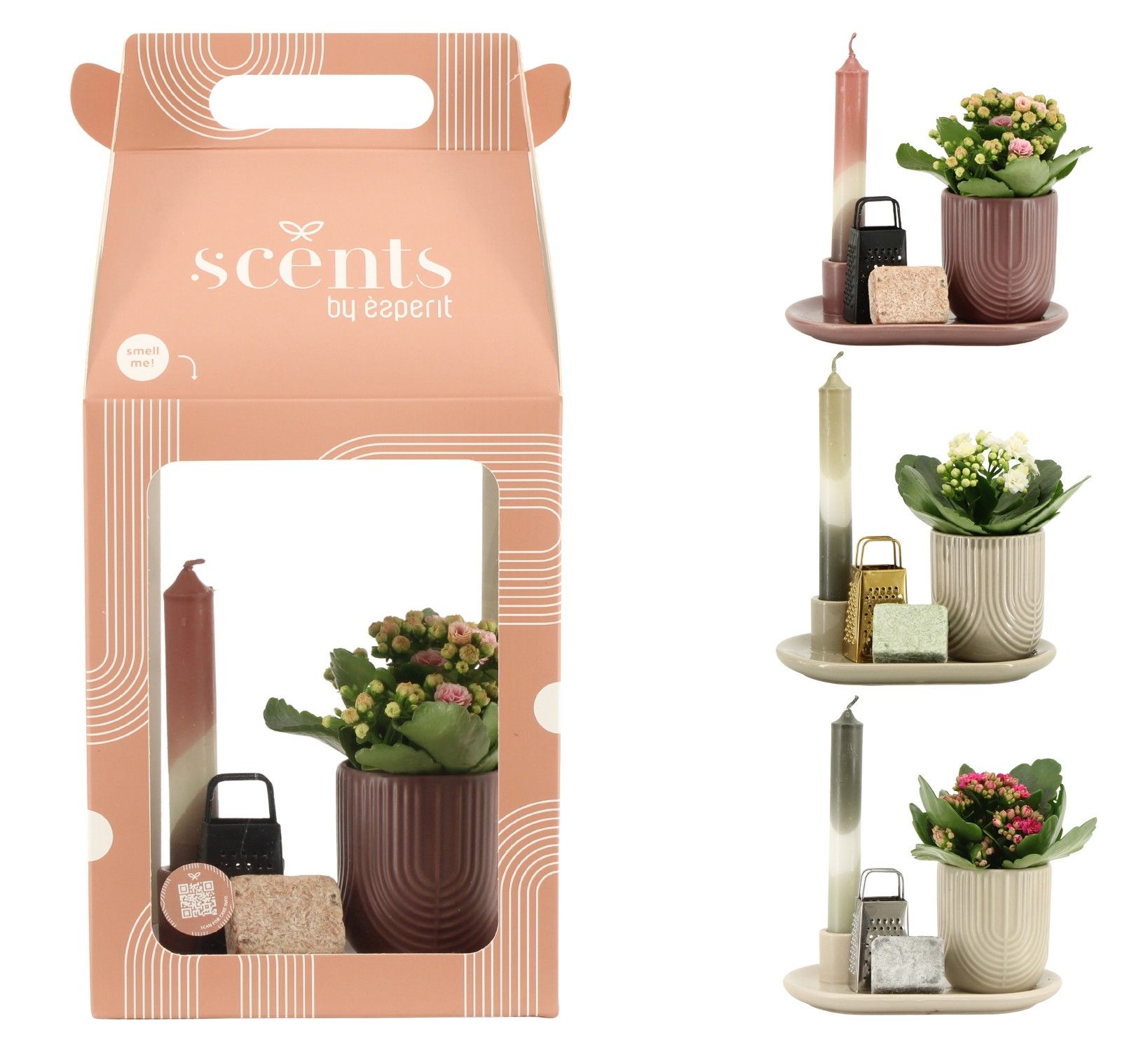 90759: Scents arrangement, D 18