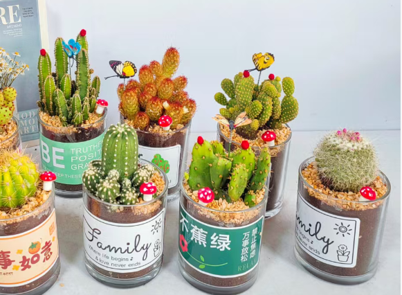 Кактус Гласс раунд палм-стйле итем 11 18