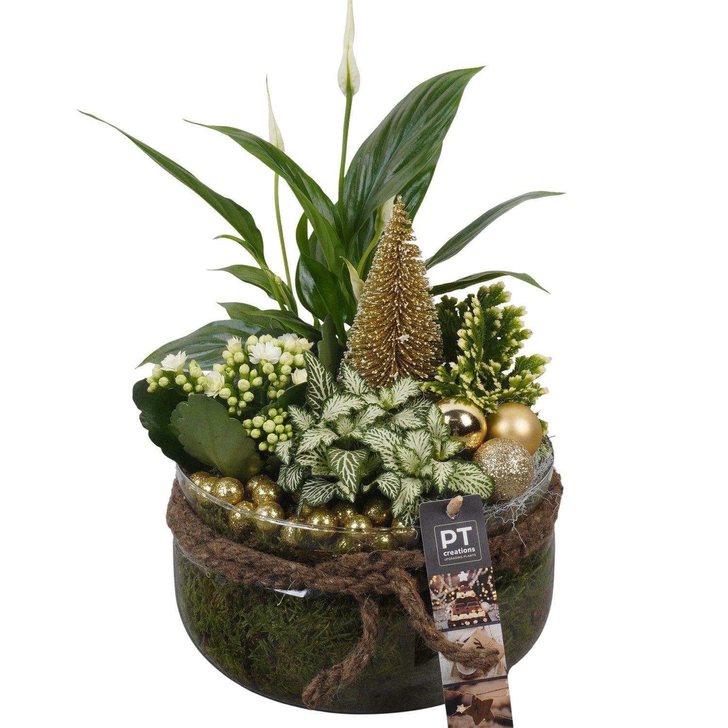 PTCHG5731 Arrangement Christmas Gold in glas schaal, D 19 cm