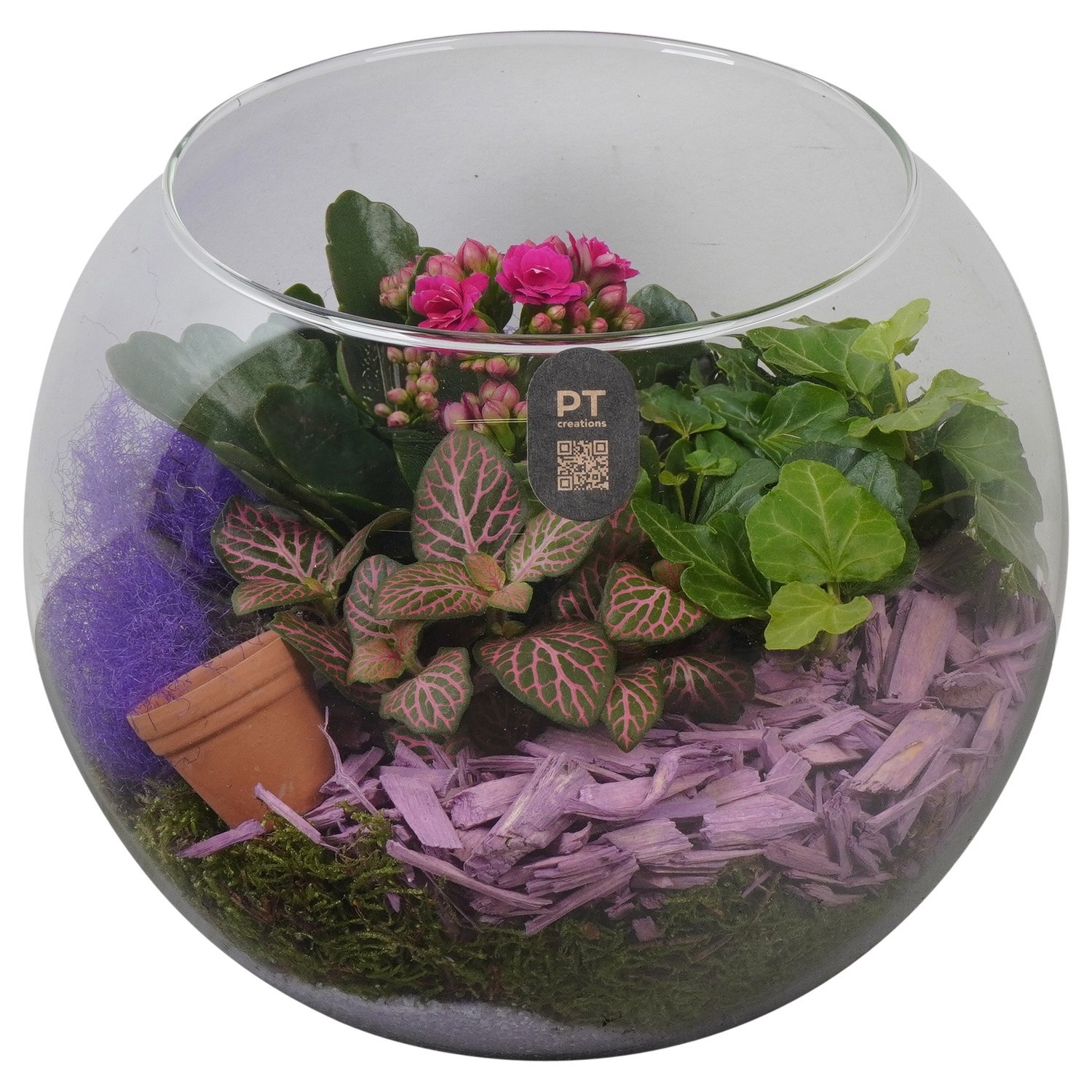 PTIG2616 Arrangement Indoor in glazen vissenkom, D 20