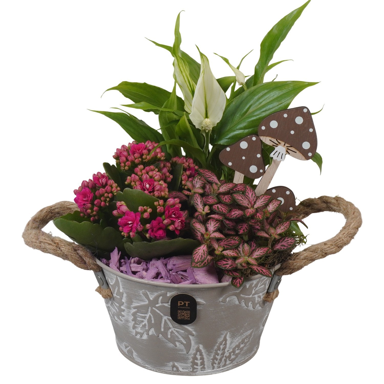 PTHI3369 Arrangement Autumn Indoor in metalen pot, D 15