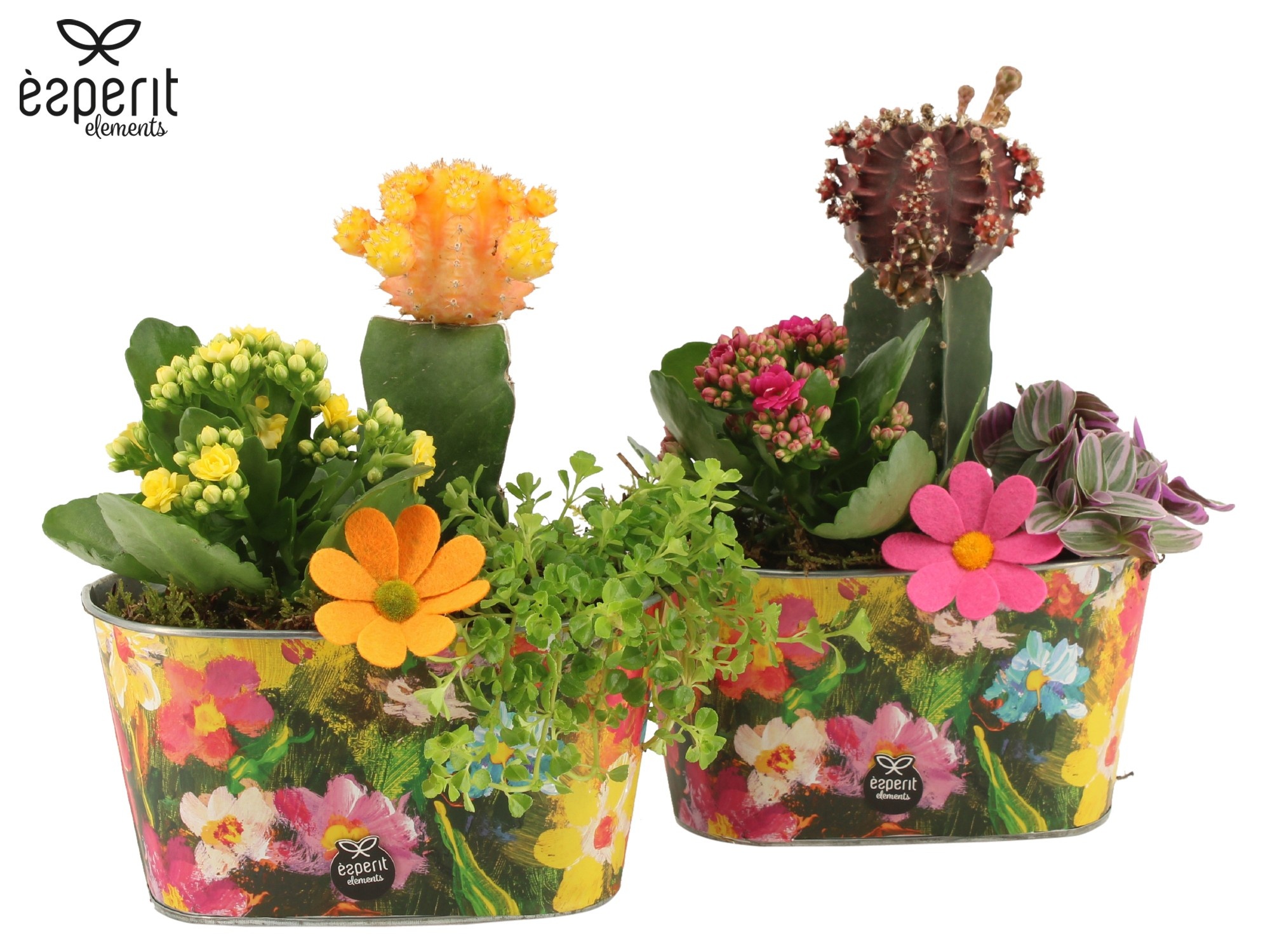 31751: Reinvention arrangement, D 19