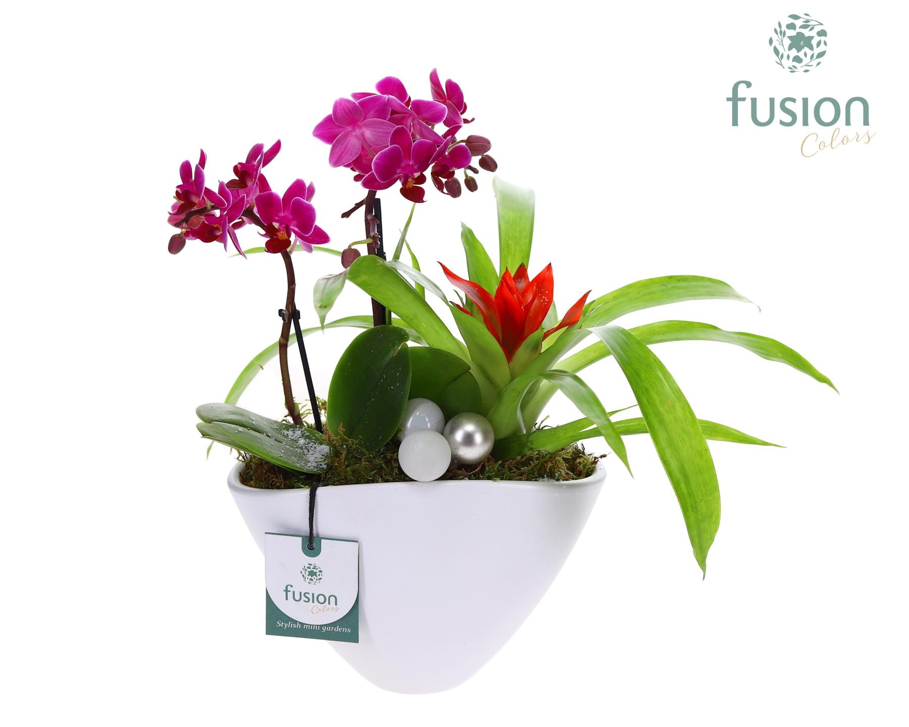 Pot keramiek Ovaal Kerst met Arrangement, D 19