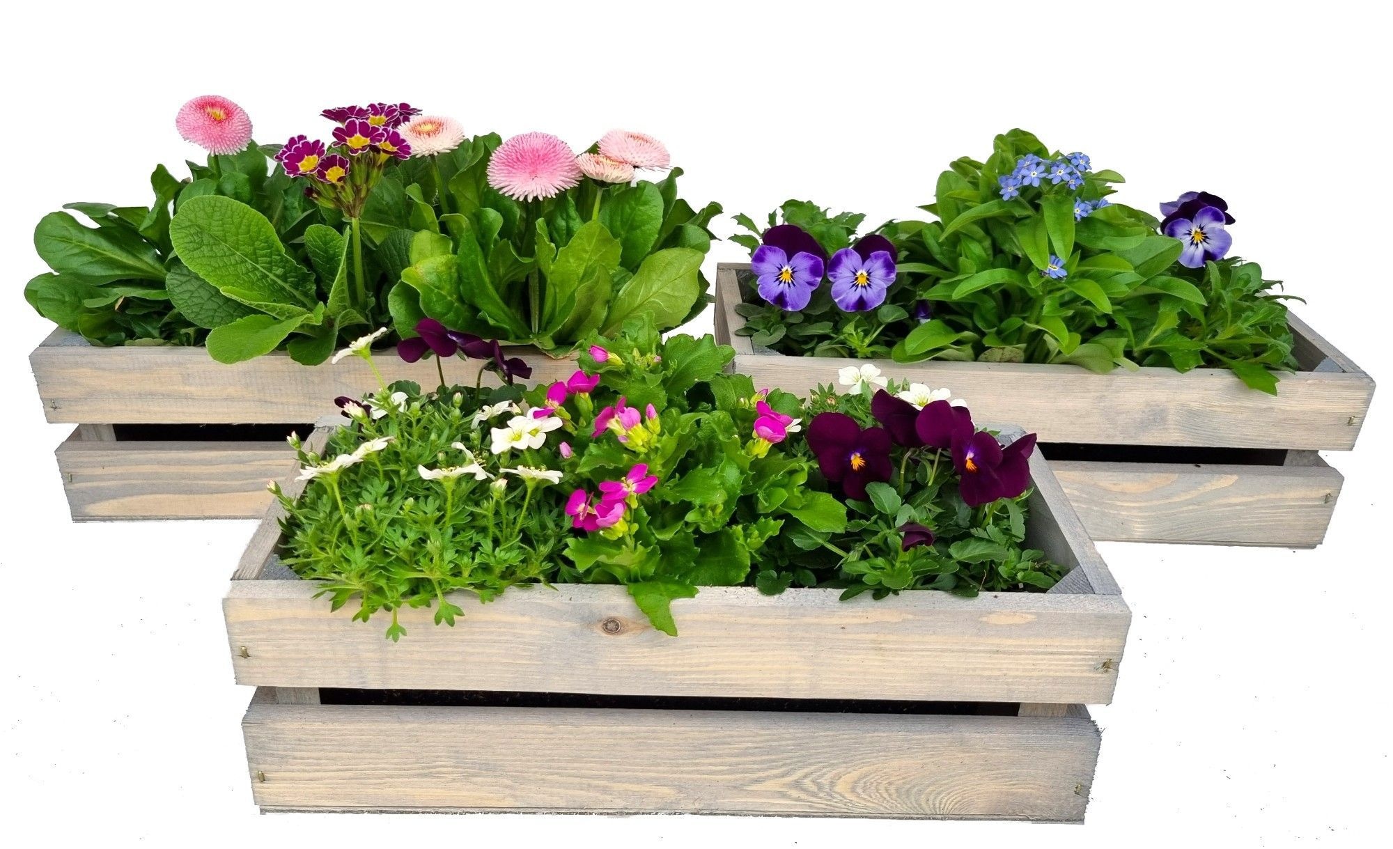 VM517-9003 voorjaarsmix houten kistje M, D 31