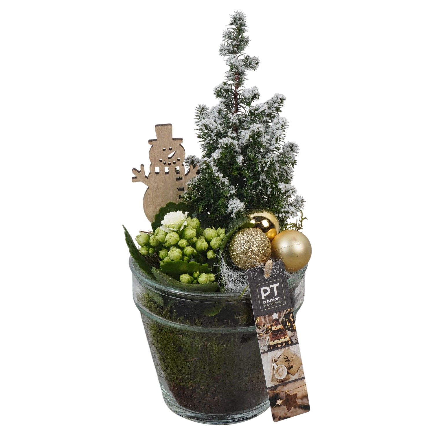 PTCHG5707 Arrangement Christmas Gold in glazen pot, D 13 cm