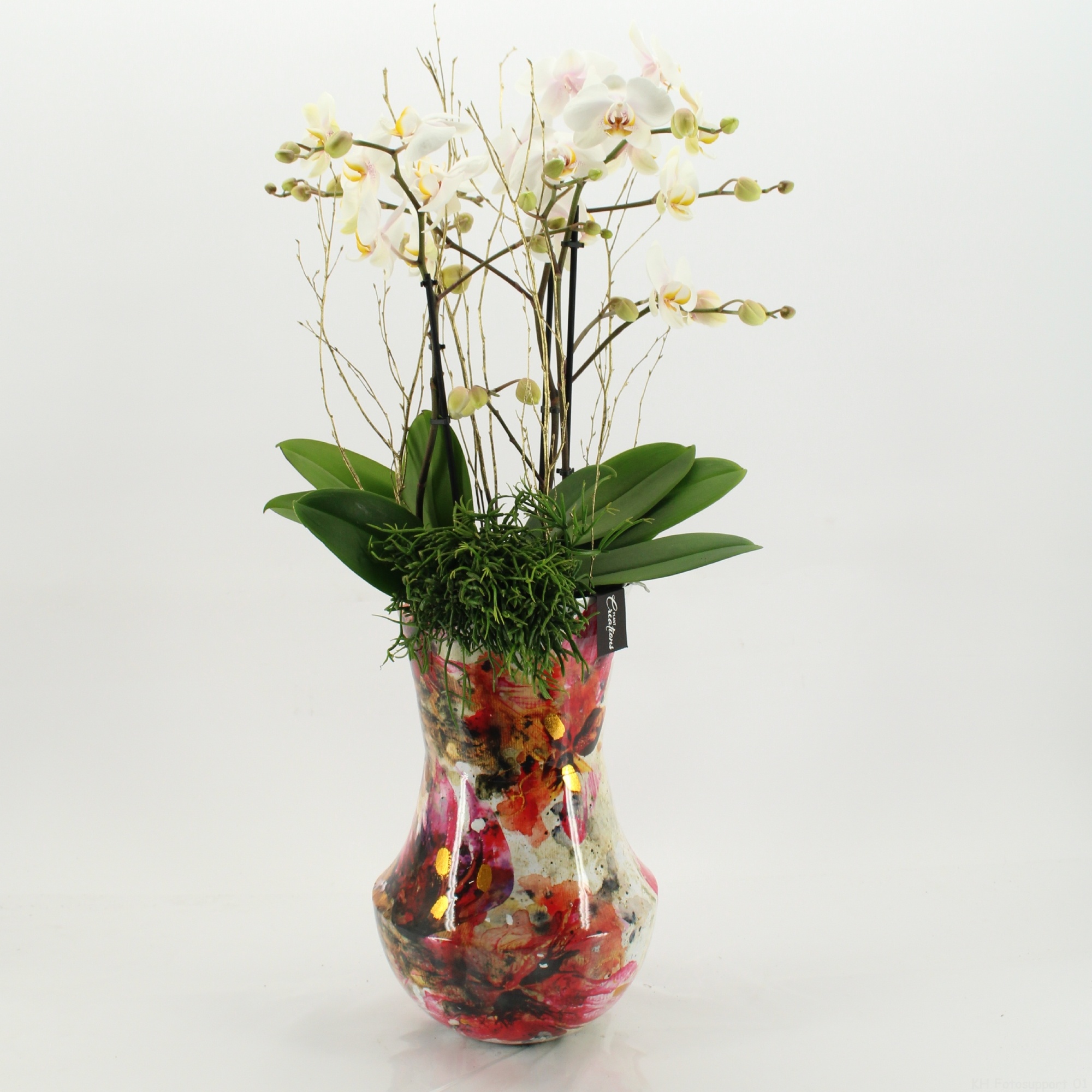 LICR-2527 Limited Phalaenopsis Xmas, D 27 cm LICR-2527 Limited Phalaenopsis Xmas, D 27 cm