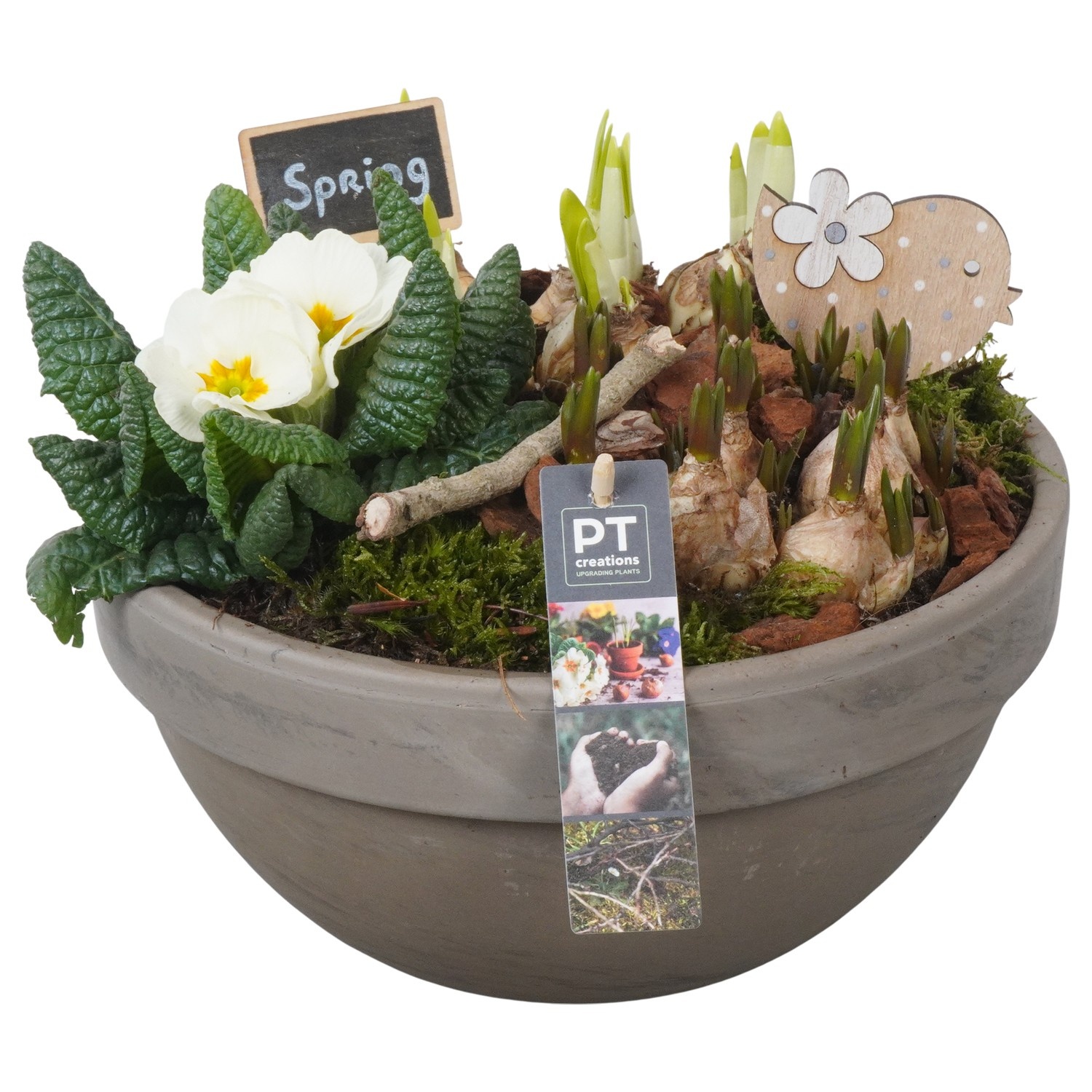 PTBM3879 Arrangement Flower Bulbs Mix in terracotta schaal, D 26