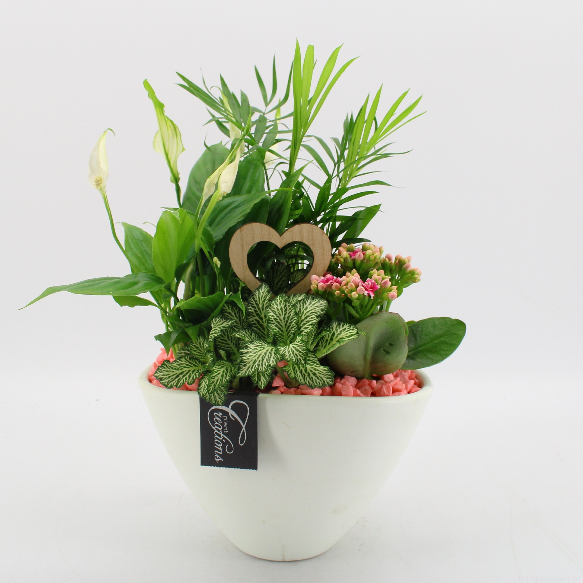 FDRM-2611RZ Romantic Fundamentals, D 21