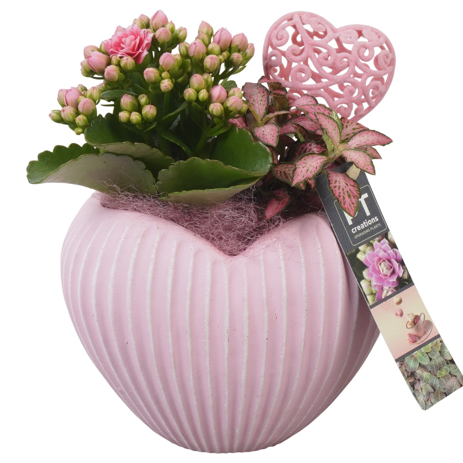 PTVMB2310 Arrangement Valentines-Mothersday in beton hart, D 15
