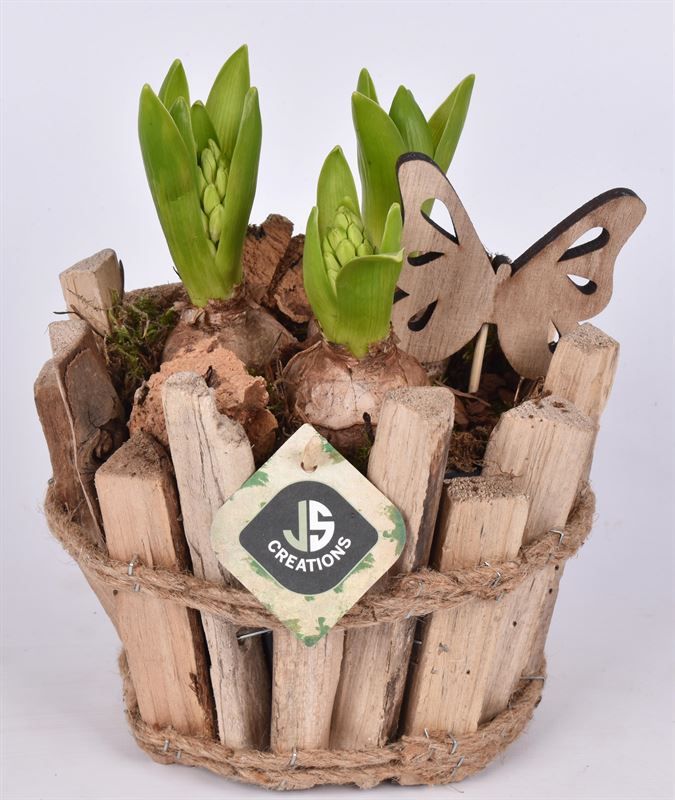 Sprokkel hout dia 17.5, D 17