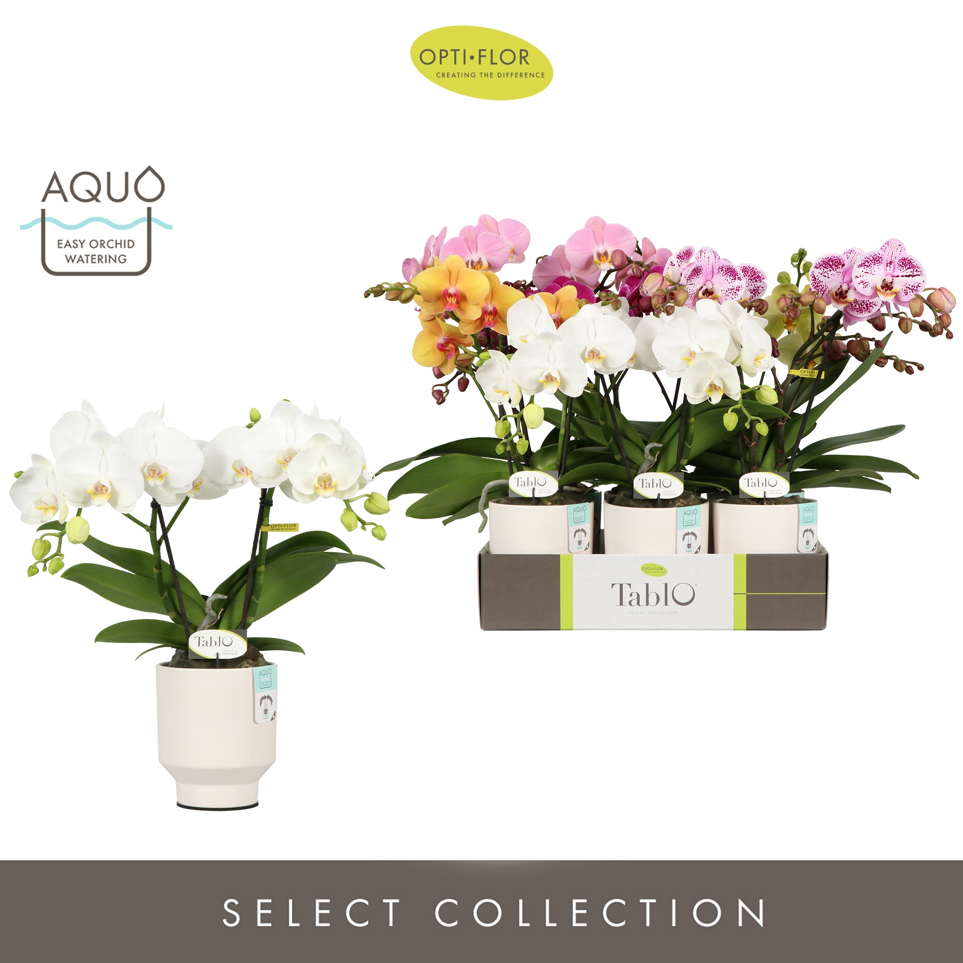 Tablo Mix 2 spike in Emilia White Aquo, D 12 cm