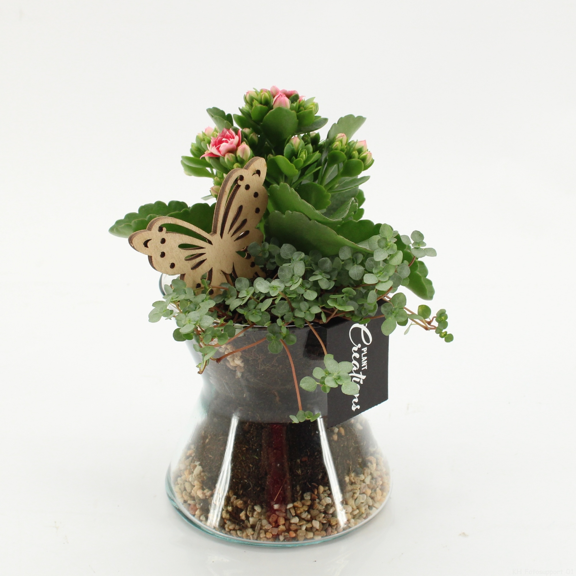 ESCR-2624RZ Essentials, D 12