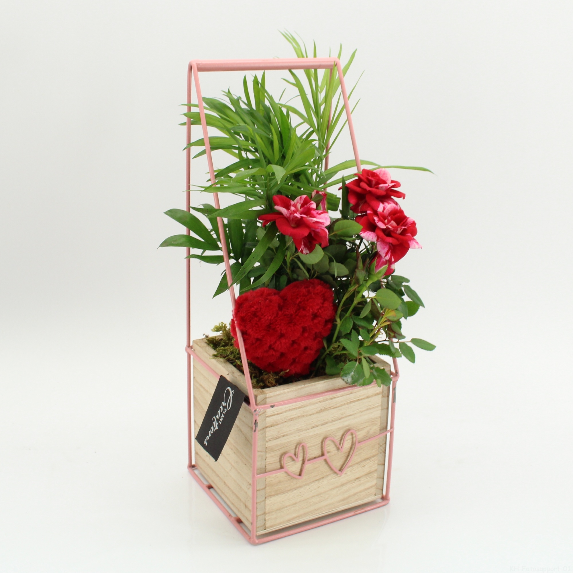 RMCR-2611 Romantic Essentials, D 12