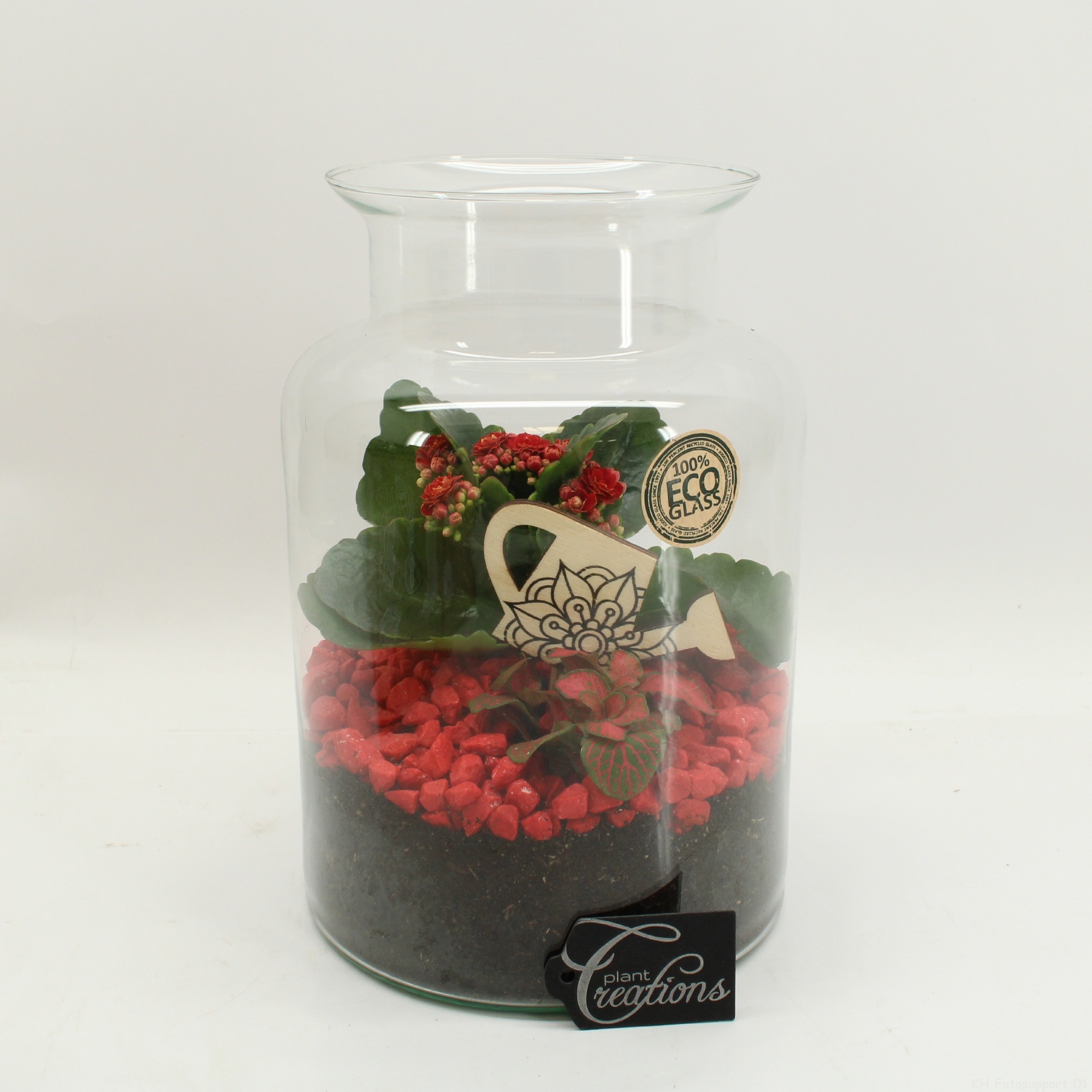 FDCR-2606R Basic Fundamentals terrarium, D 17