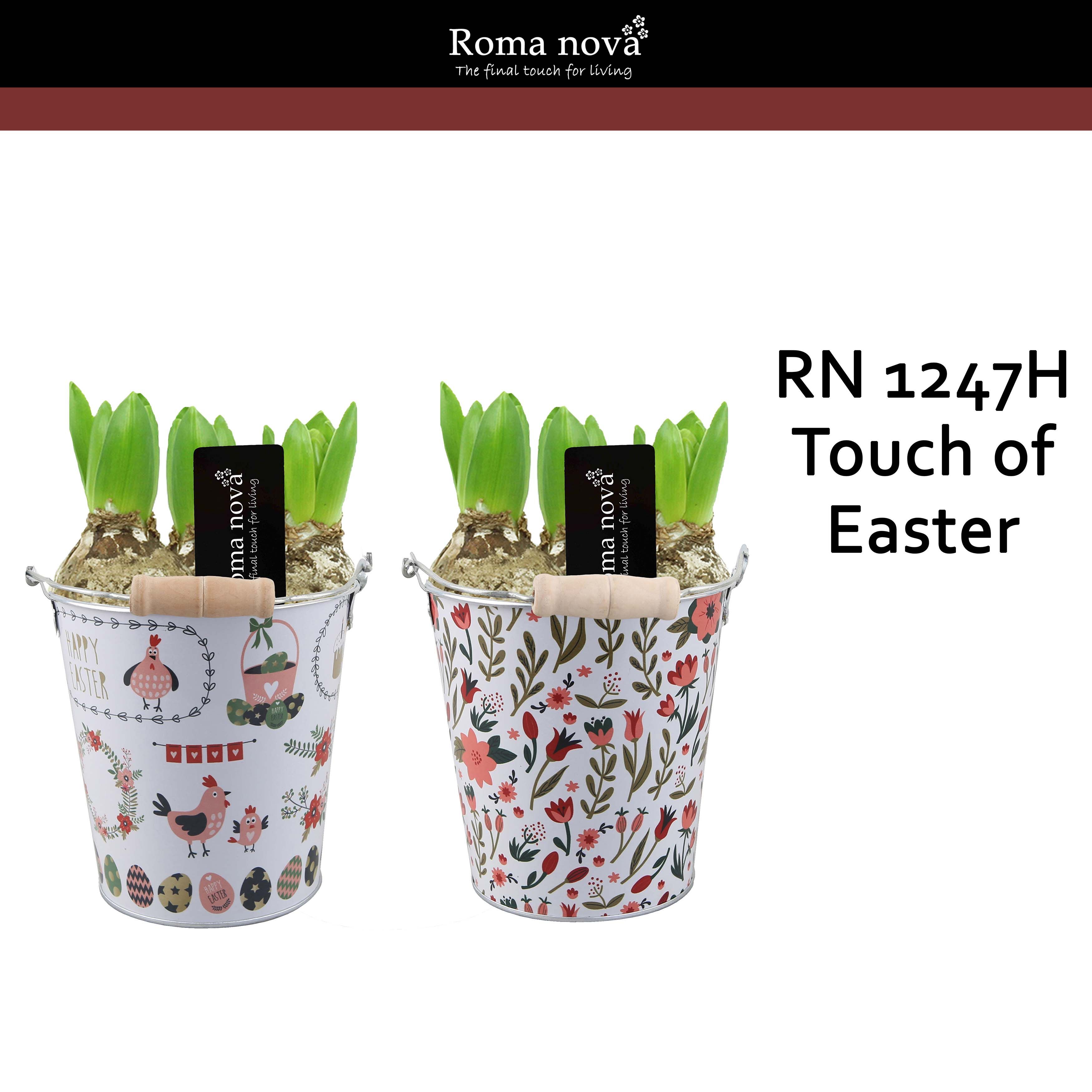 1247H - Touch of Easter (Hyacint), D 14