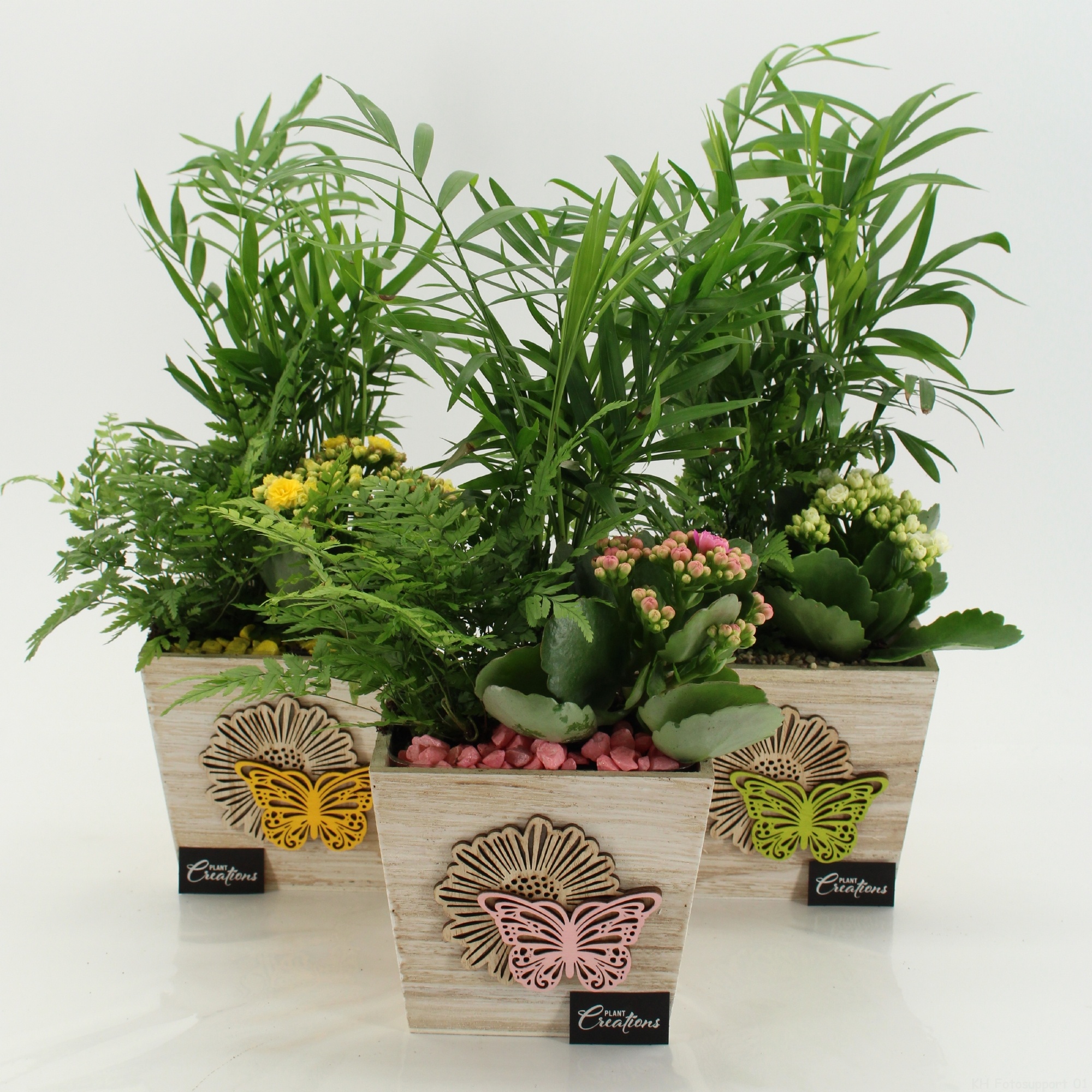 SECR-2616M Summer Essentials Colors, D 13