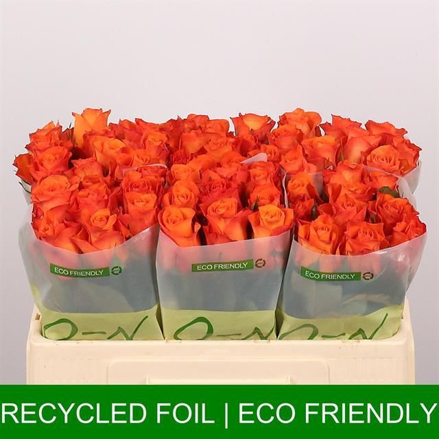 Роза од. Оранж Вэйв 50, шт.