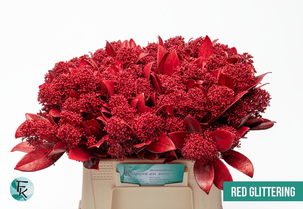 Скимия Овериг крашеный за пучок (краш. ) 45, пуч.