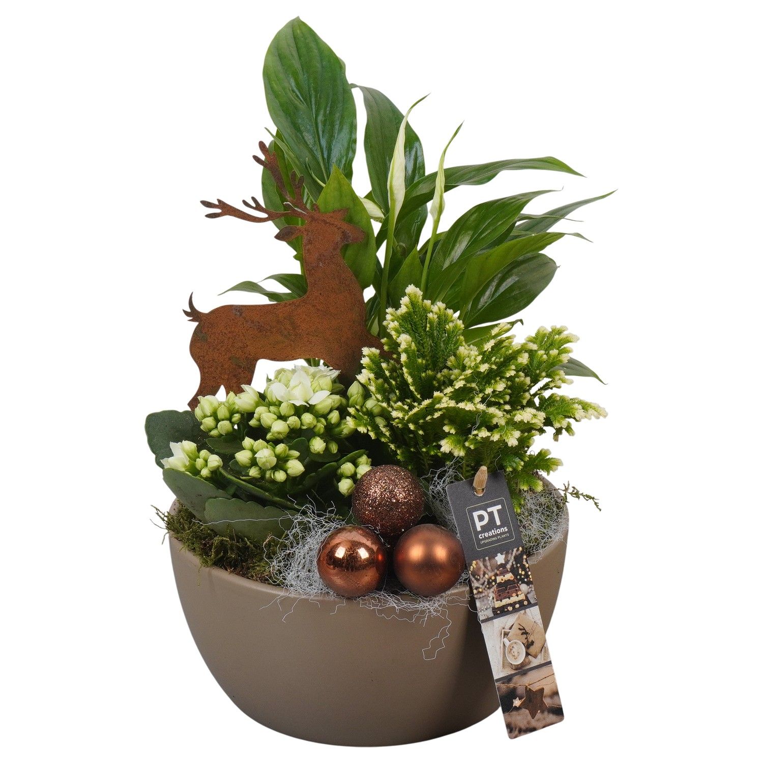 PTCHB9734 Arrangement Christmas Bronze in keramiek schaal, D 18 cm