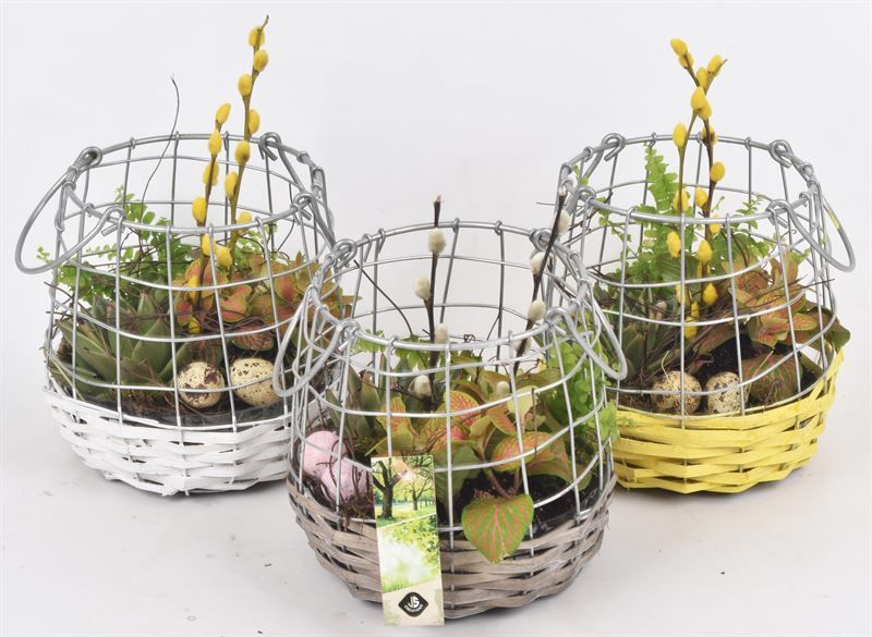 Willow metaal korf mix kl17cm, D 15