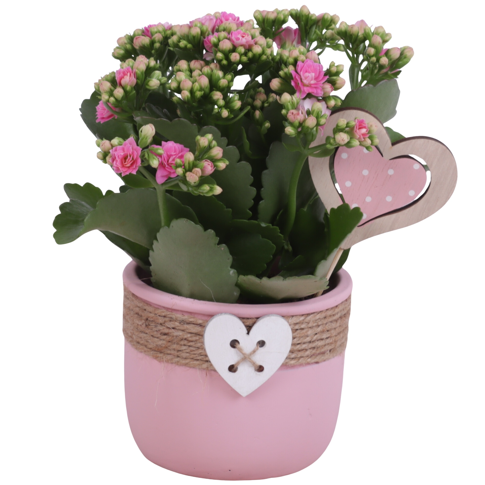 Mothersday Arr. Indoor Ceramic Pot Round Rope Heart Ø11cm 1PP, D 11