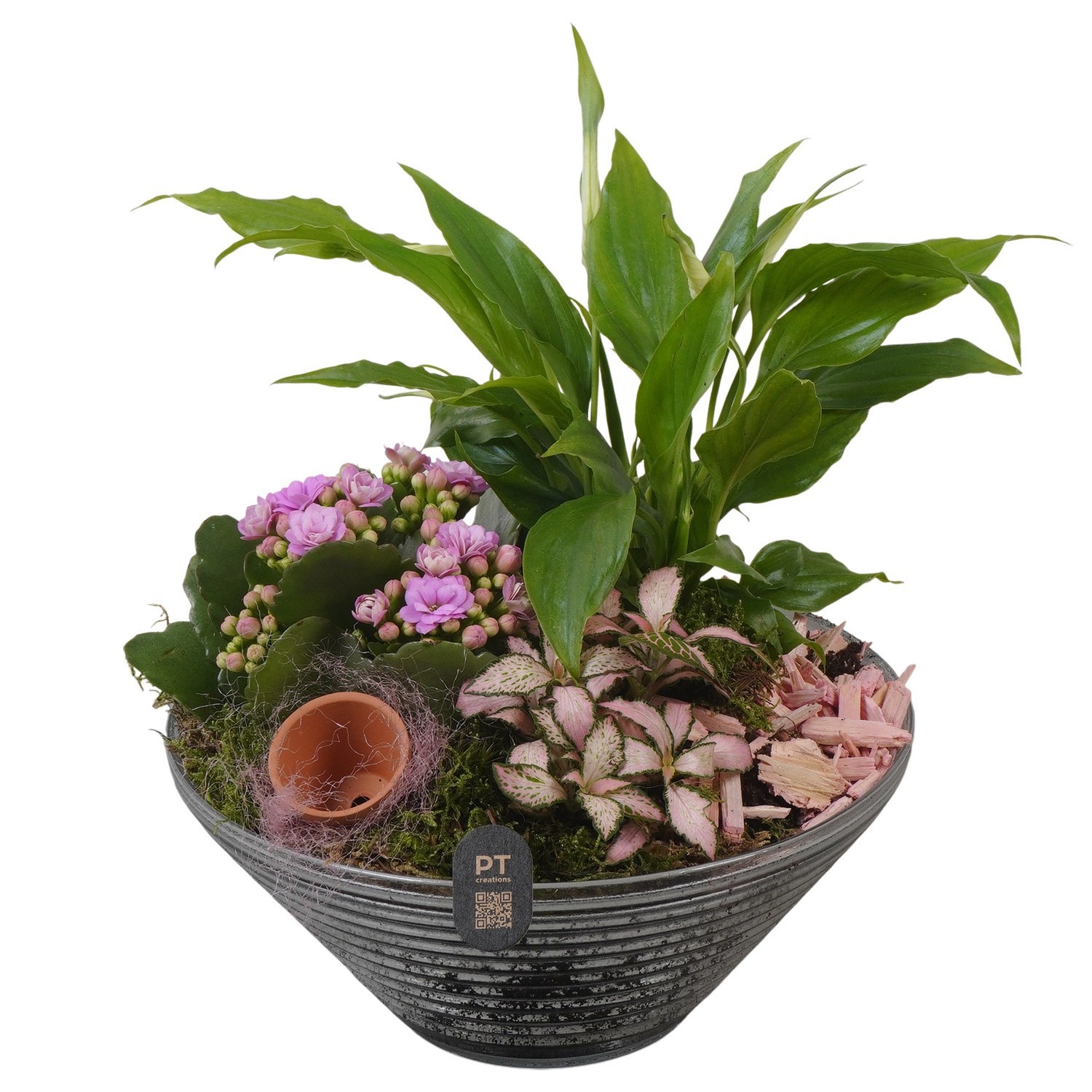 PTIG2662 Arrangement Indoor in glas schaal, D 19