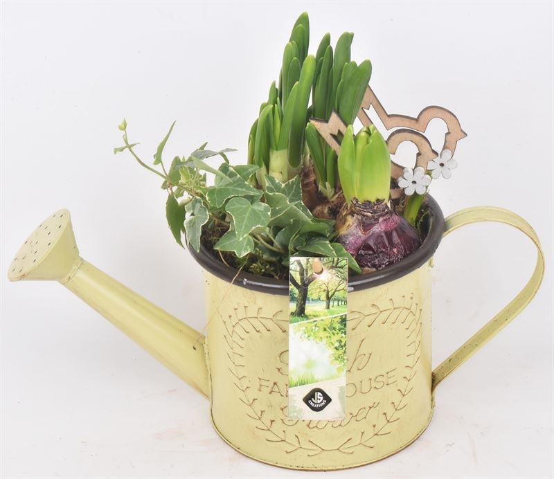 Zink gieter 14cm, D 14