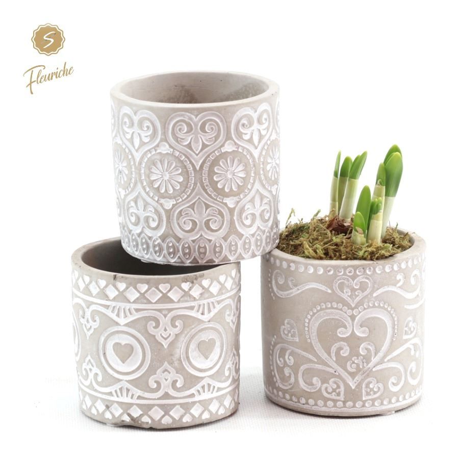 (1915) Narcissus Verona [M] 1PP Mos, D 9 cm