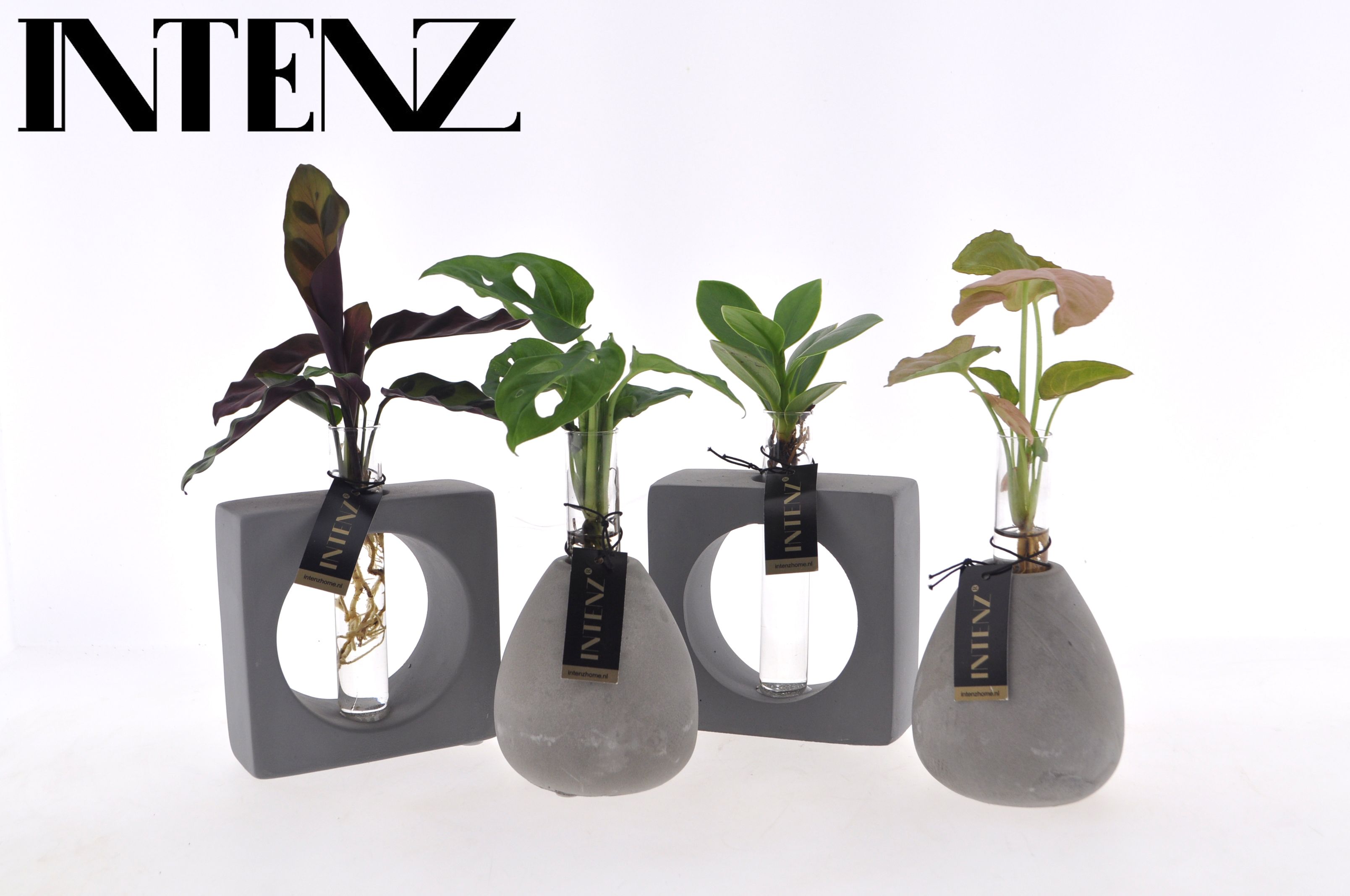 Intenz mix in Manilla 2 assortiment, D 9