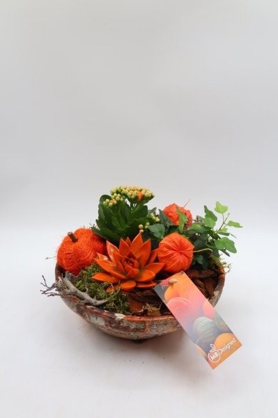 Herfst, harsschaal laag, D 23 cm Herfst, harsschaal laag, D 23 cm