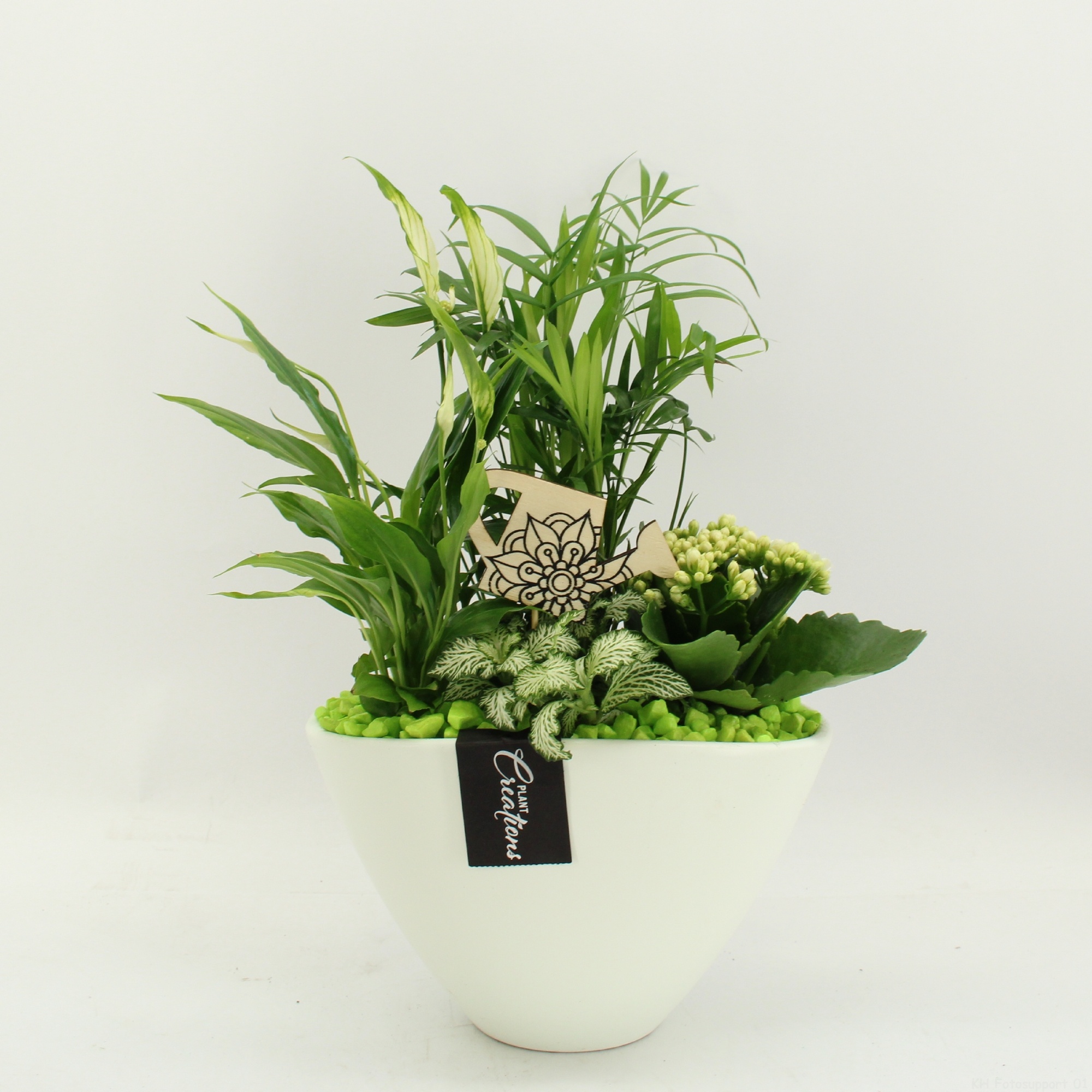 FDCR-2611GR Basic Fundamentals, D 21