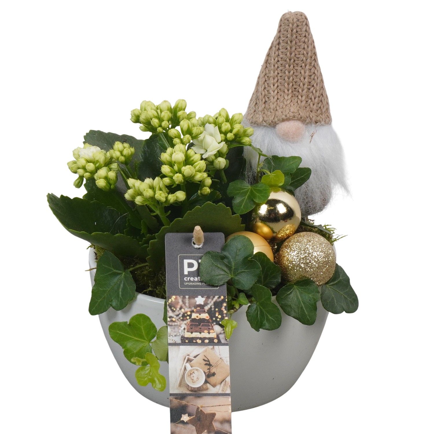 PTCHG5622 Arrangement Christmas Gold in keramiek schaal, D 14 cm