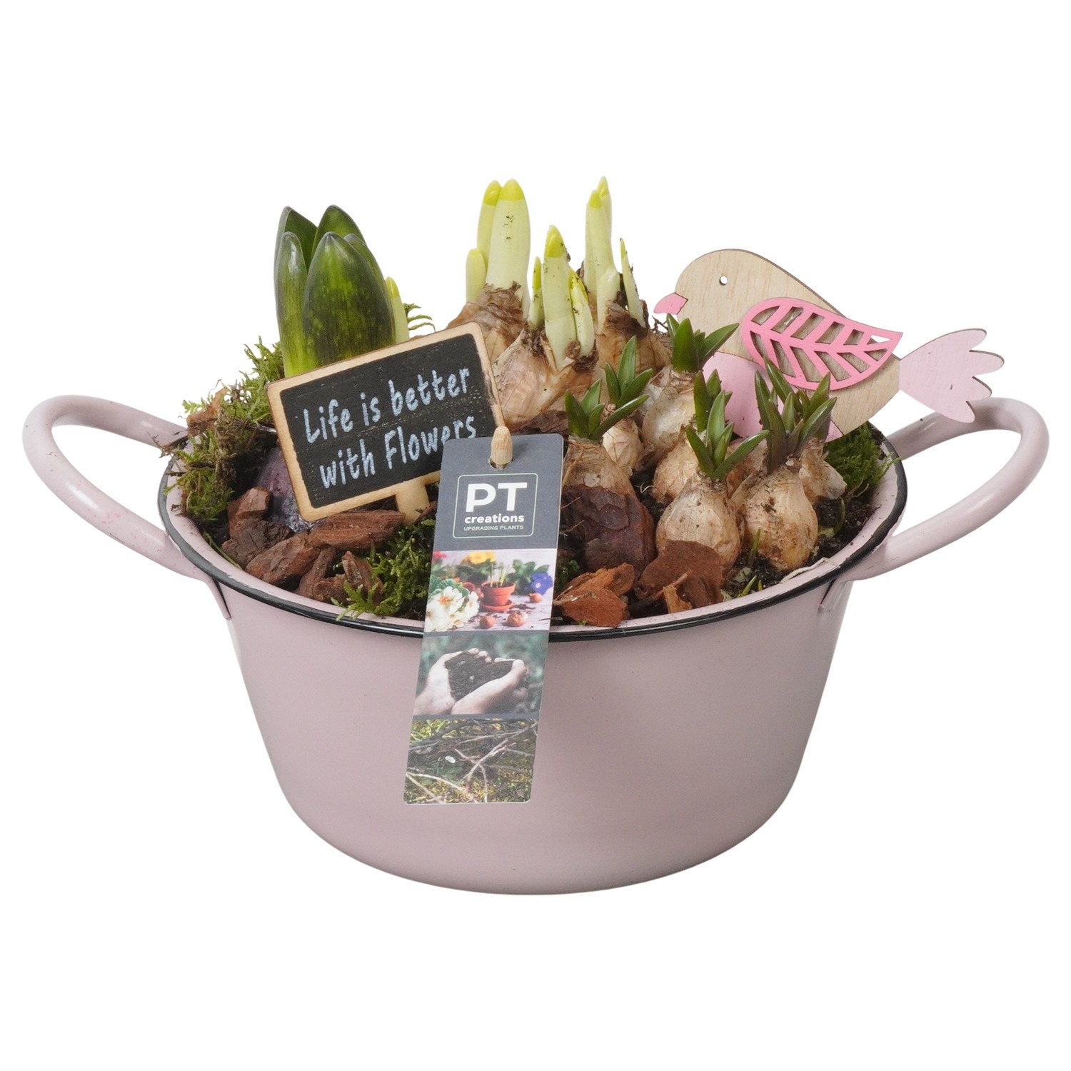 PTBM3722 Arrangement Flower Bulbs Mix in metalen schaal, D 19