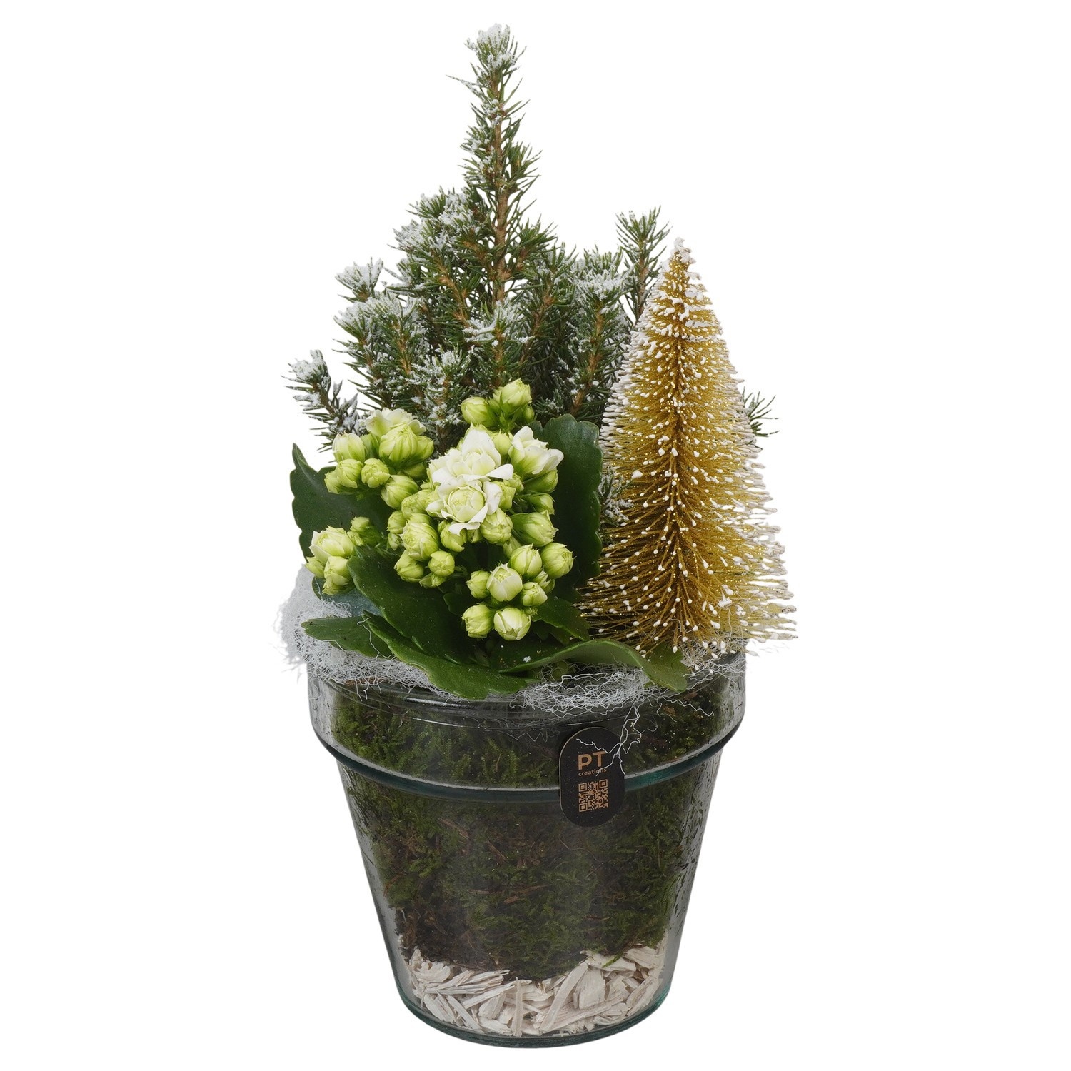 PTCHG4606 Arrangement Christmas Gold in glazen vaas, D 13
