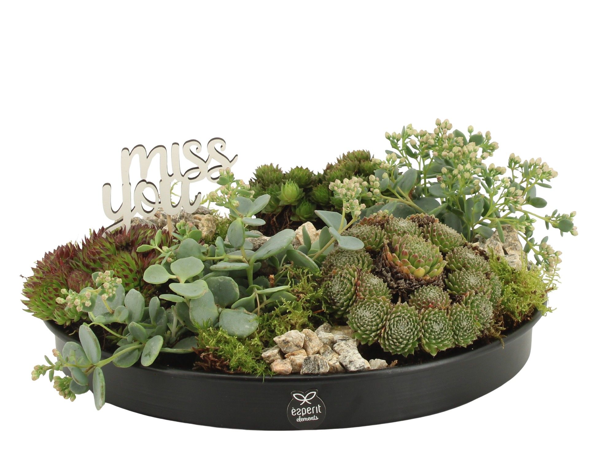 41659: All saints arrangement, D 29 cm 41659: All saints arrangement, D 29 cm