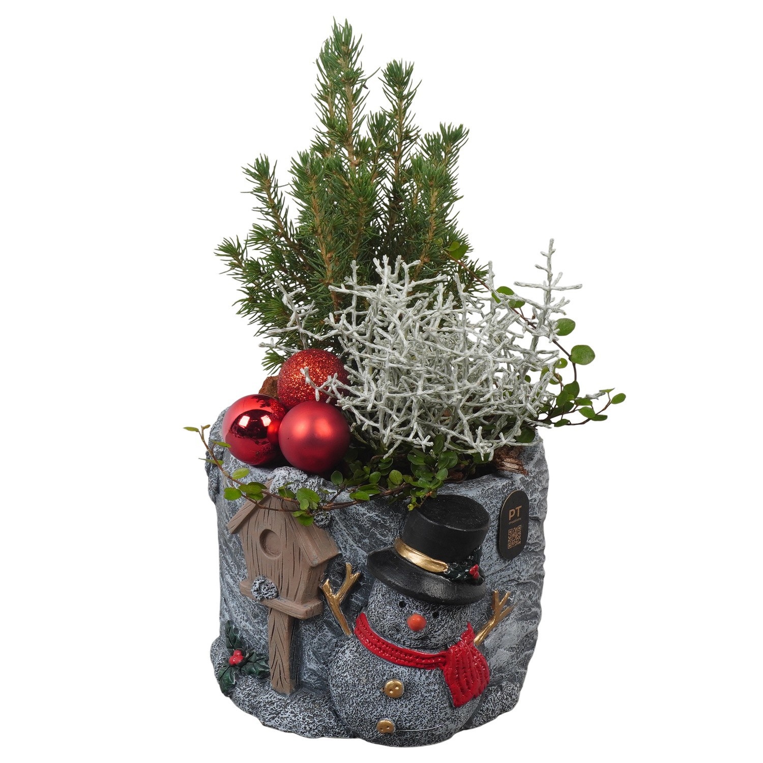 PTCHO5460 Arrangement Christmas Outdoor in beton pot, D 18