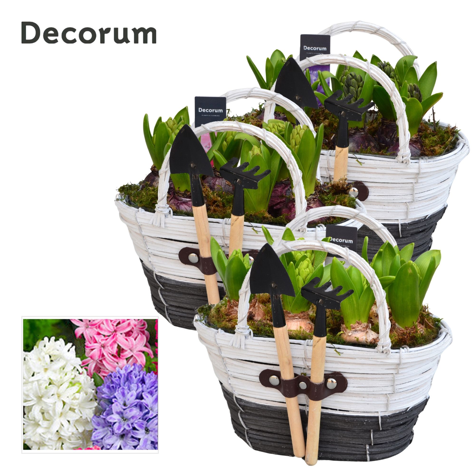 Hyacint Mand Gereedschap HL14683 [PURE], D 21