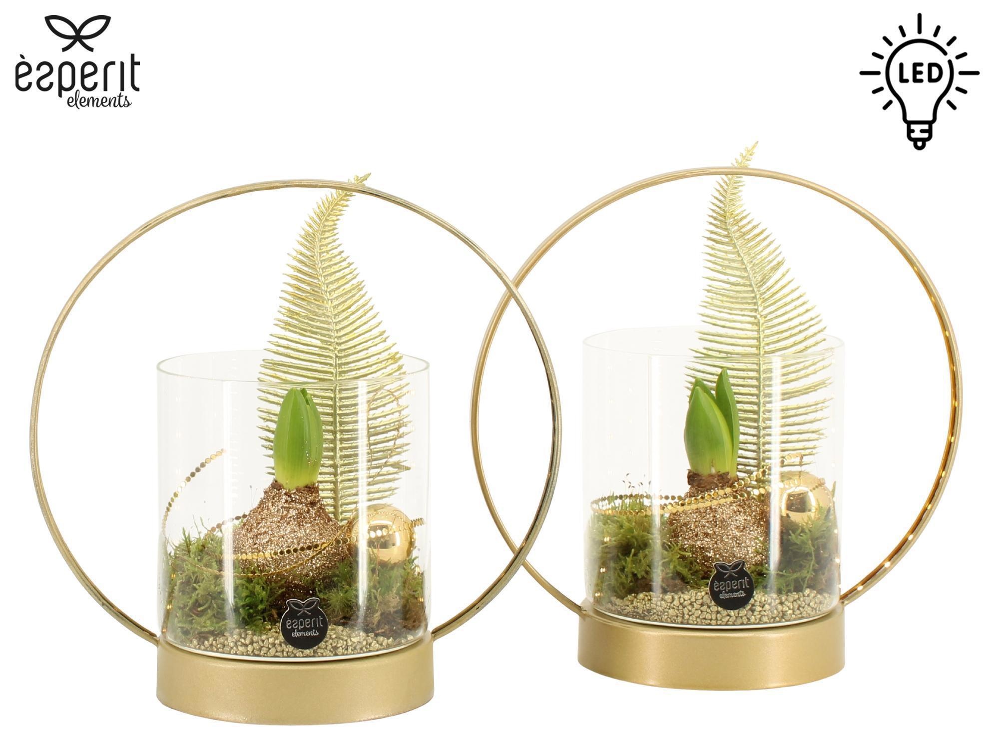 62044: X-mas arrangement met LED, D 22