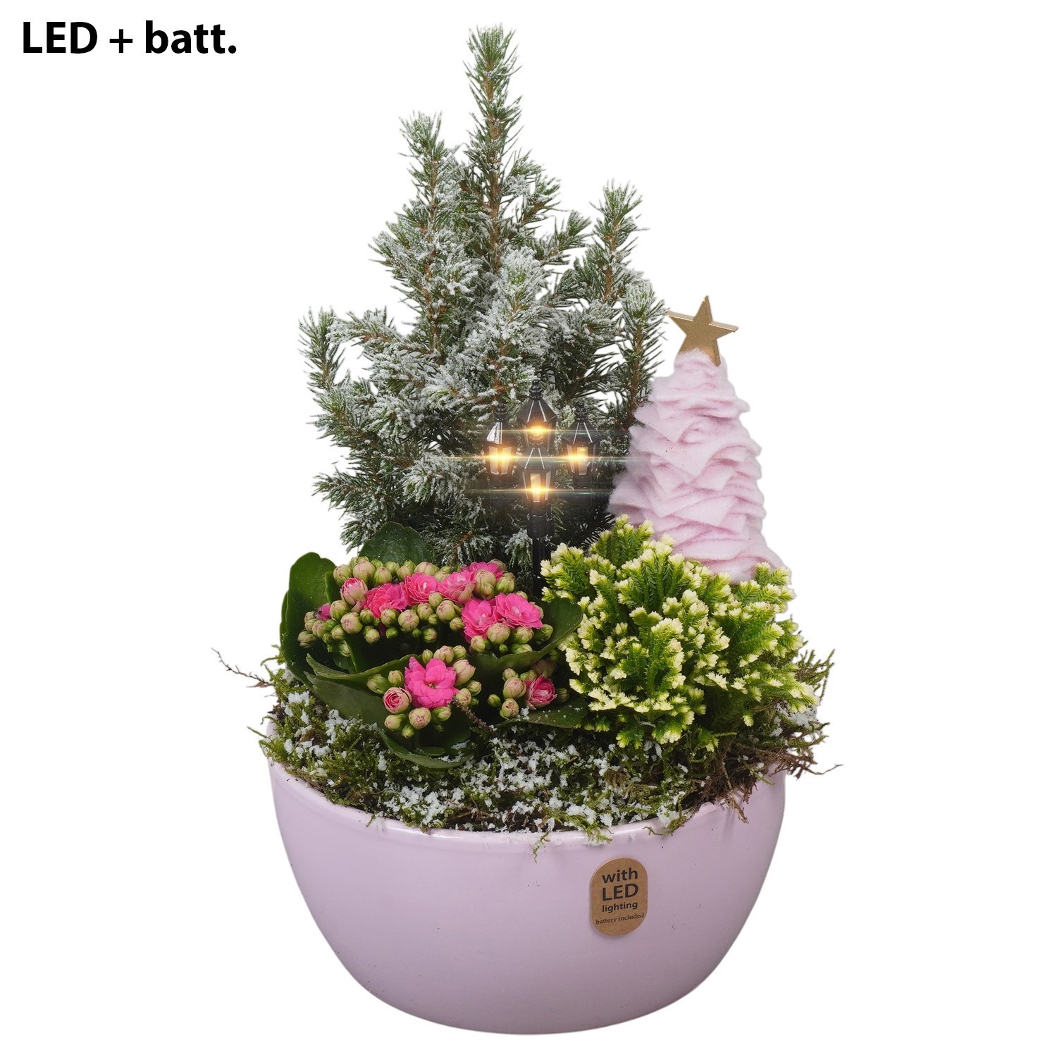 PTCHP8420 Arrangement Christmas Pink in keramiek schaal met LED, D 18