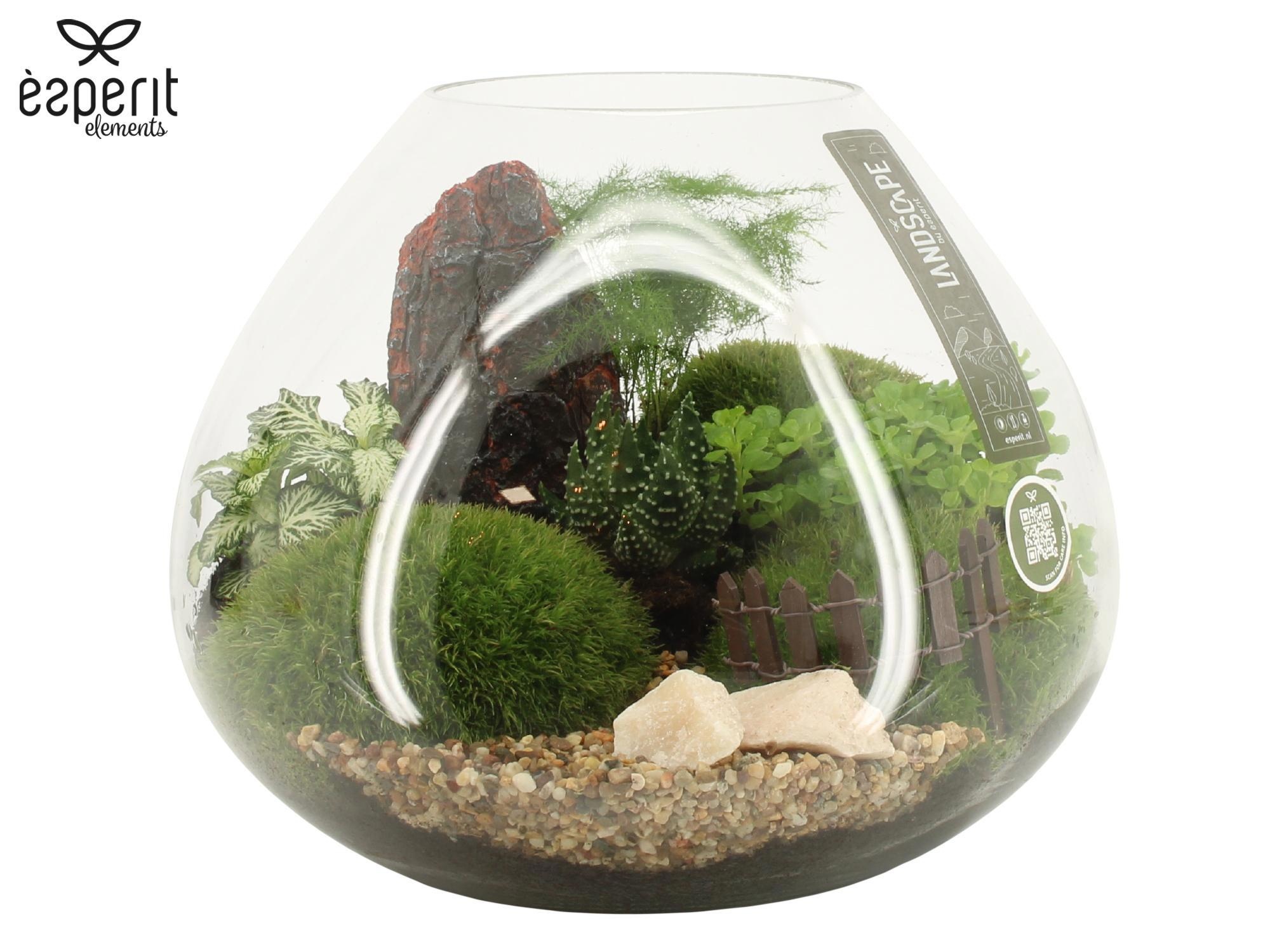 90628: Landscape arrangement, D 24