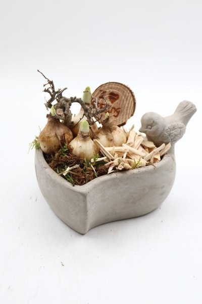 Narcis, hart beton met vogel, D 14