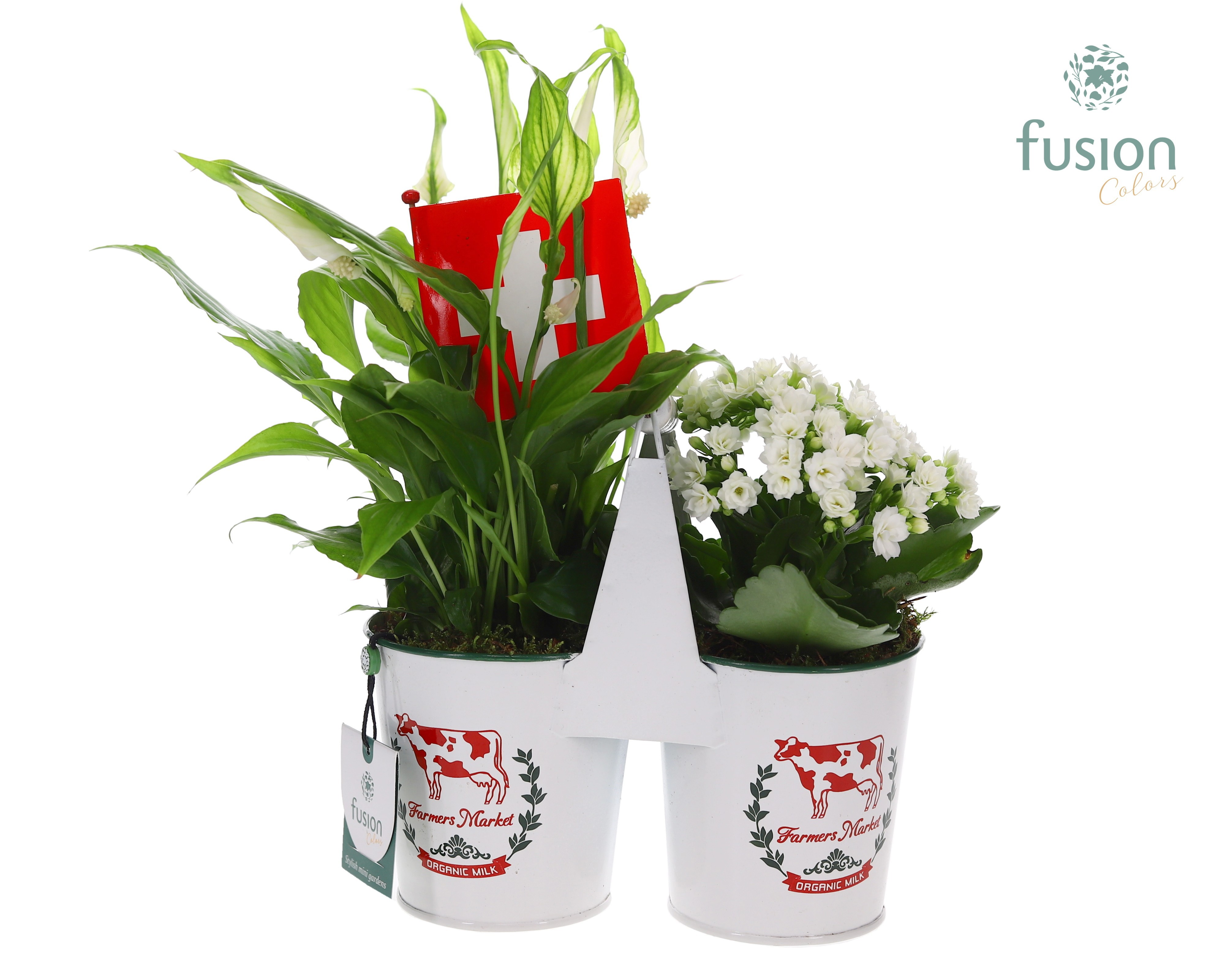 Zinken plantenbak met Arrangement en Zwitserse vlag, D 22 cm