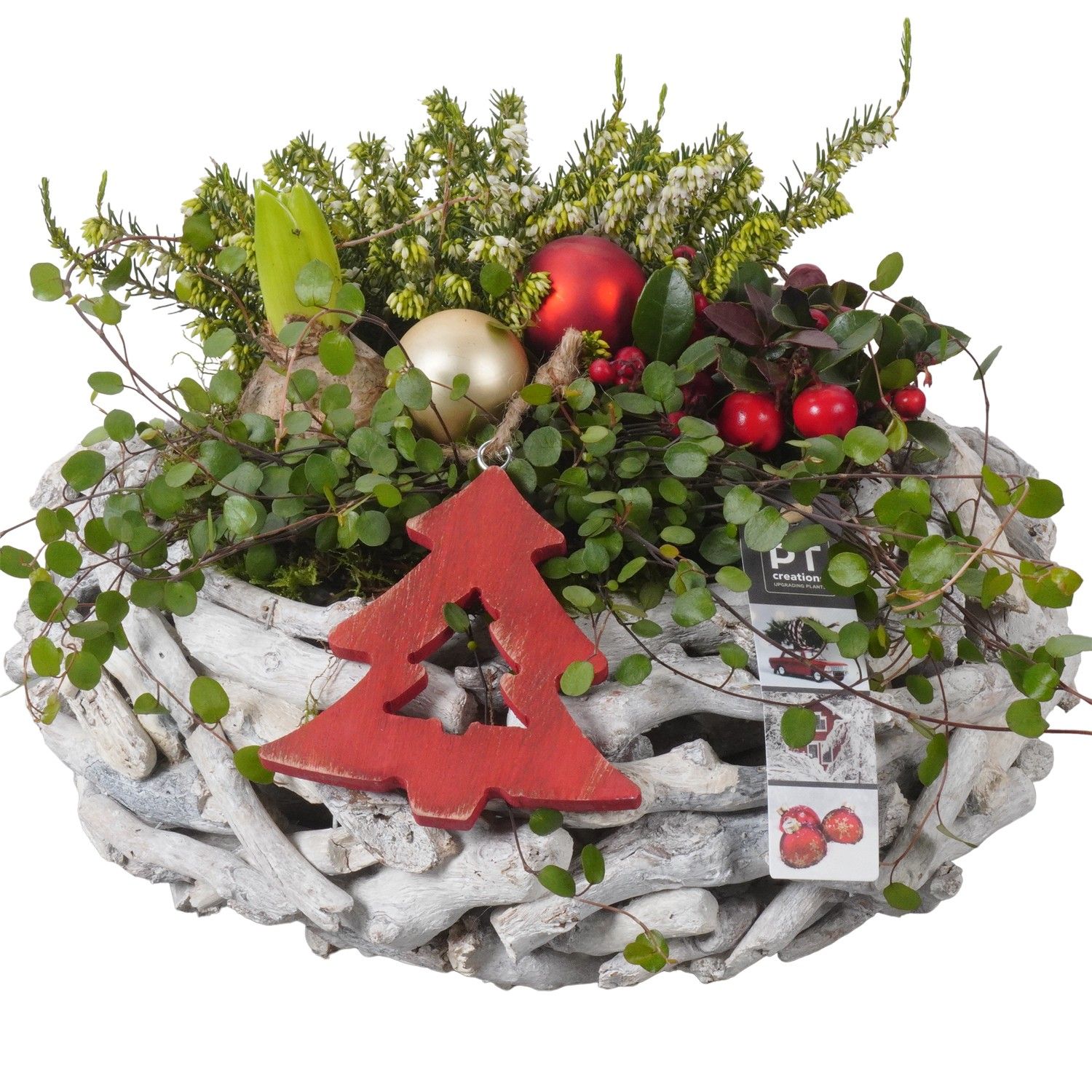 PTWO1912 Arrangement Winter Outdoor in houten bak, D 33 cm PTWO1912 Arrangement Winter Outdoor in houten bak, D 33 cm