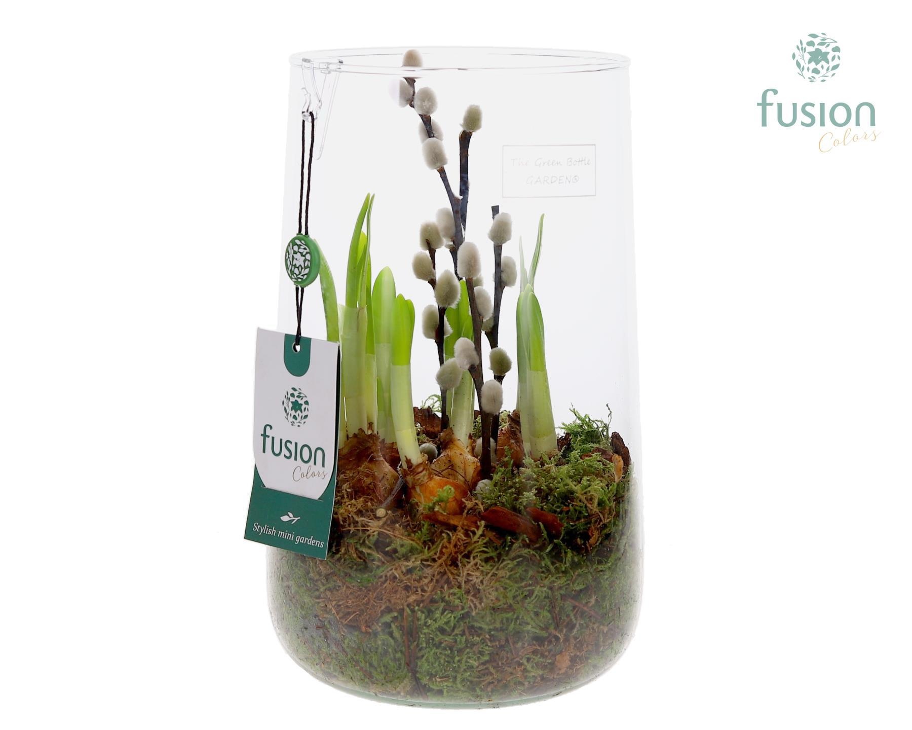 Green Bottle Deline Large met Narcissus, D 15