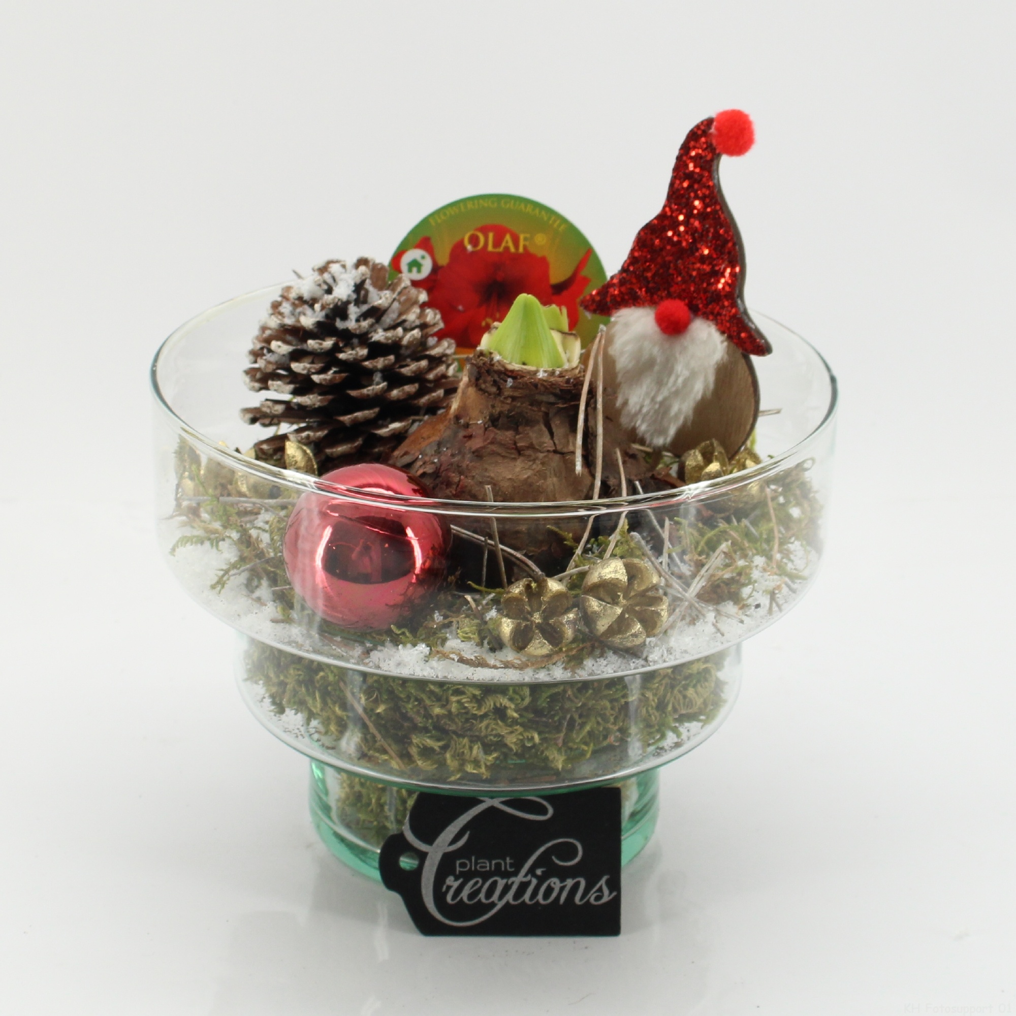 HICR-2508R Kerst Amaryllis, D 17 cm