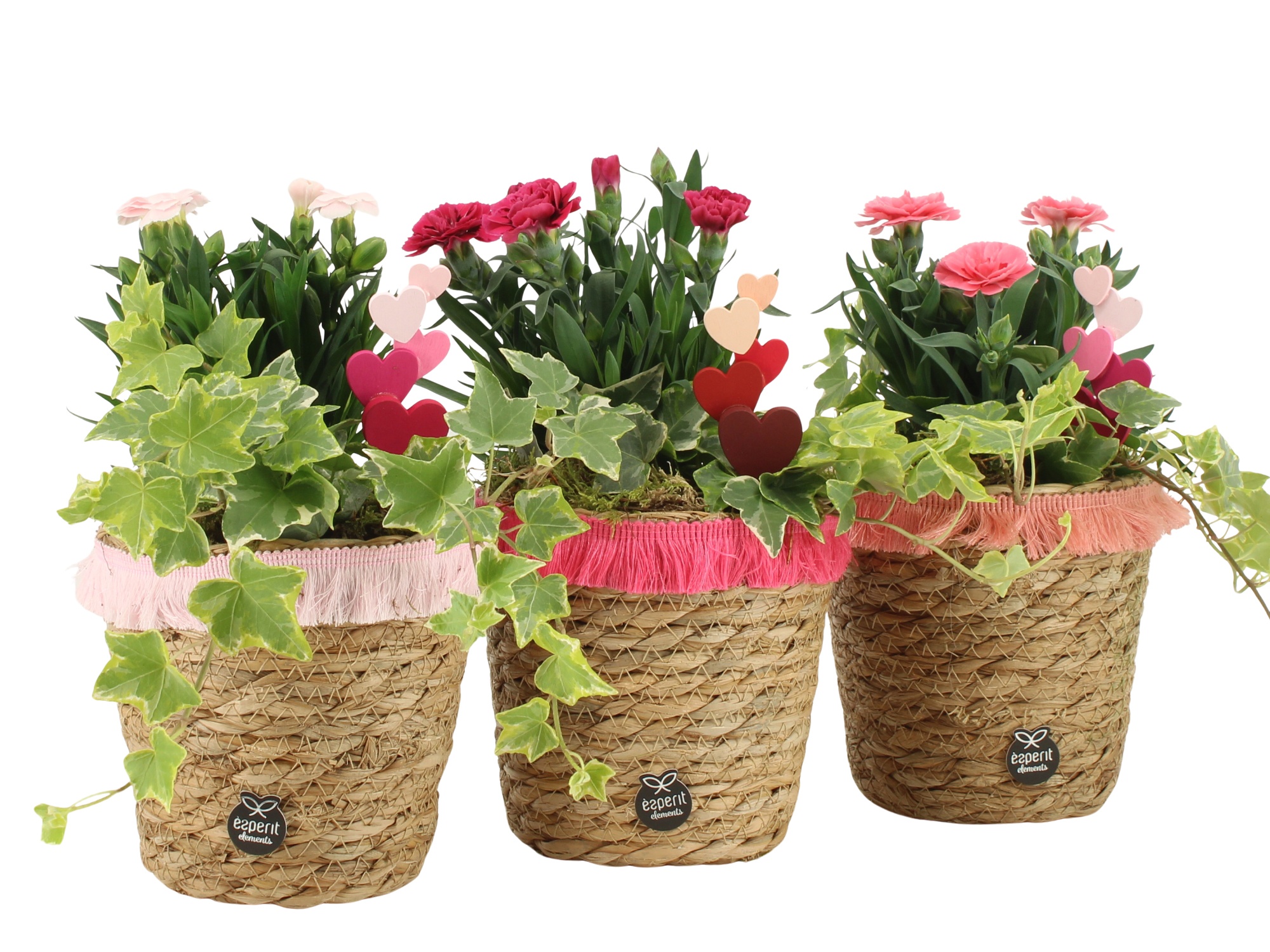 21989: Love outdoor arrangement, D 13