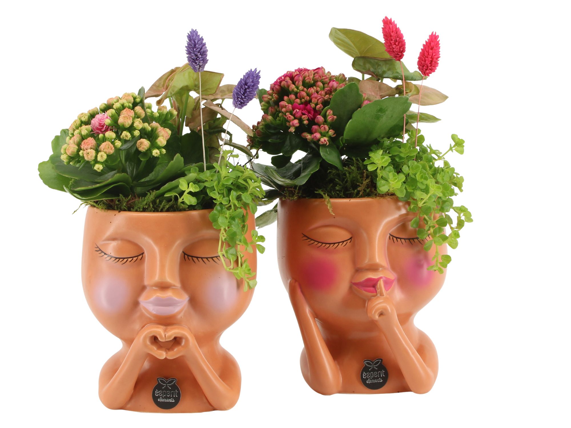 21603: Lovess arrangement, D 12