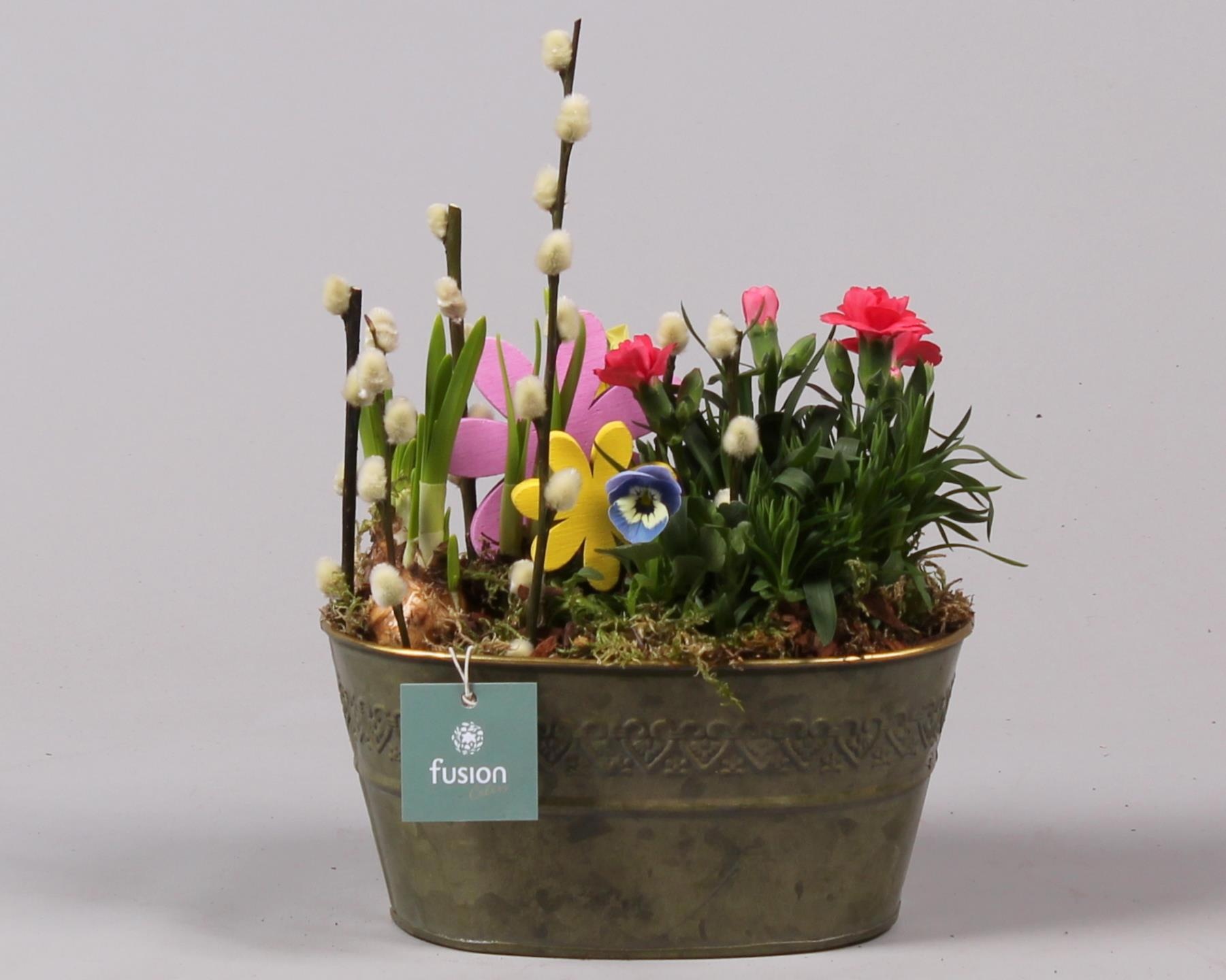 Schaal zink ovaal Voorjaar met Arrangement, D 20