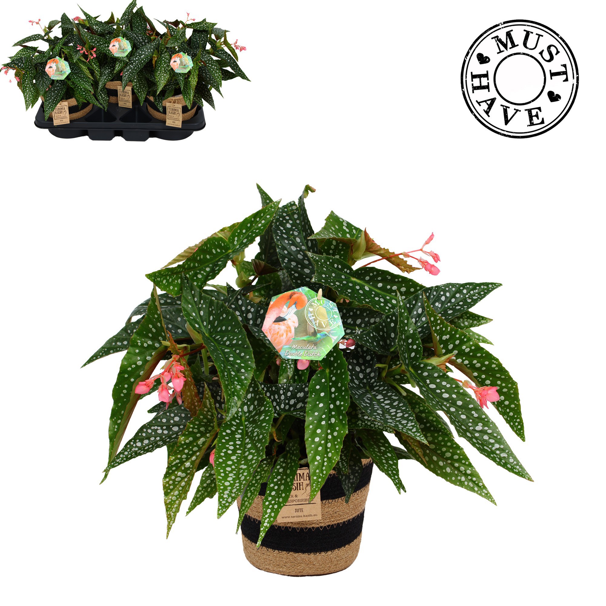 Maculata Double Dot in Jutte mand MUST HAVE, D 17