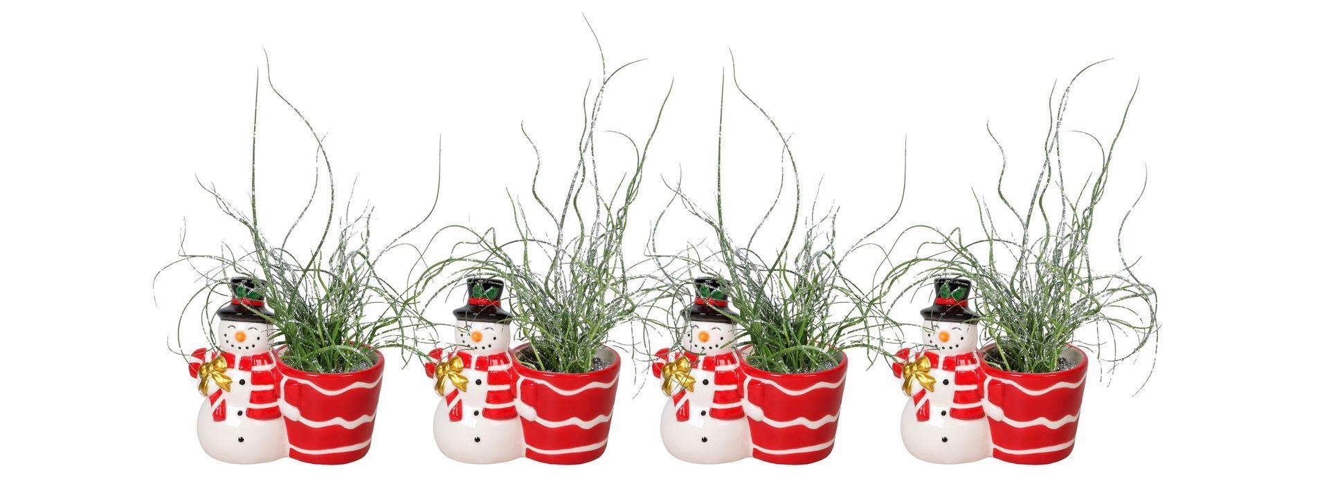 L 67460 With Juncus 'Spiralis' Glitter 6 cm, D 6